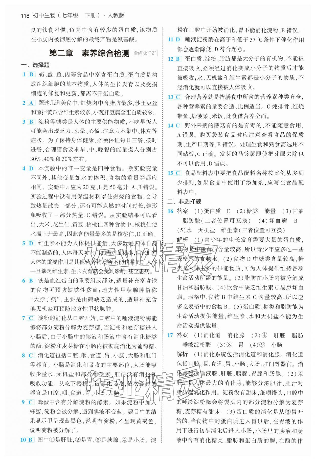 2024年5年中考3年模拟七年级生物下册人教版 参考答案第8页