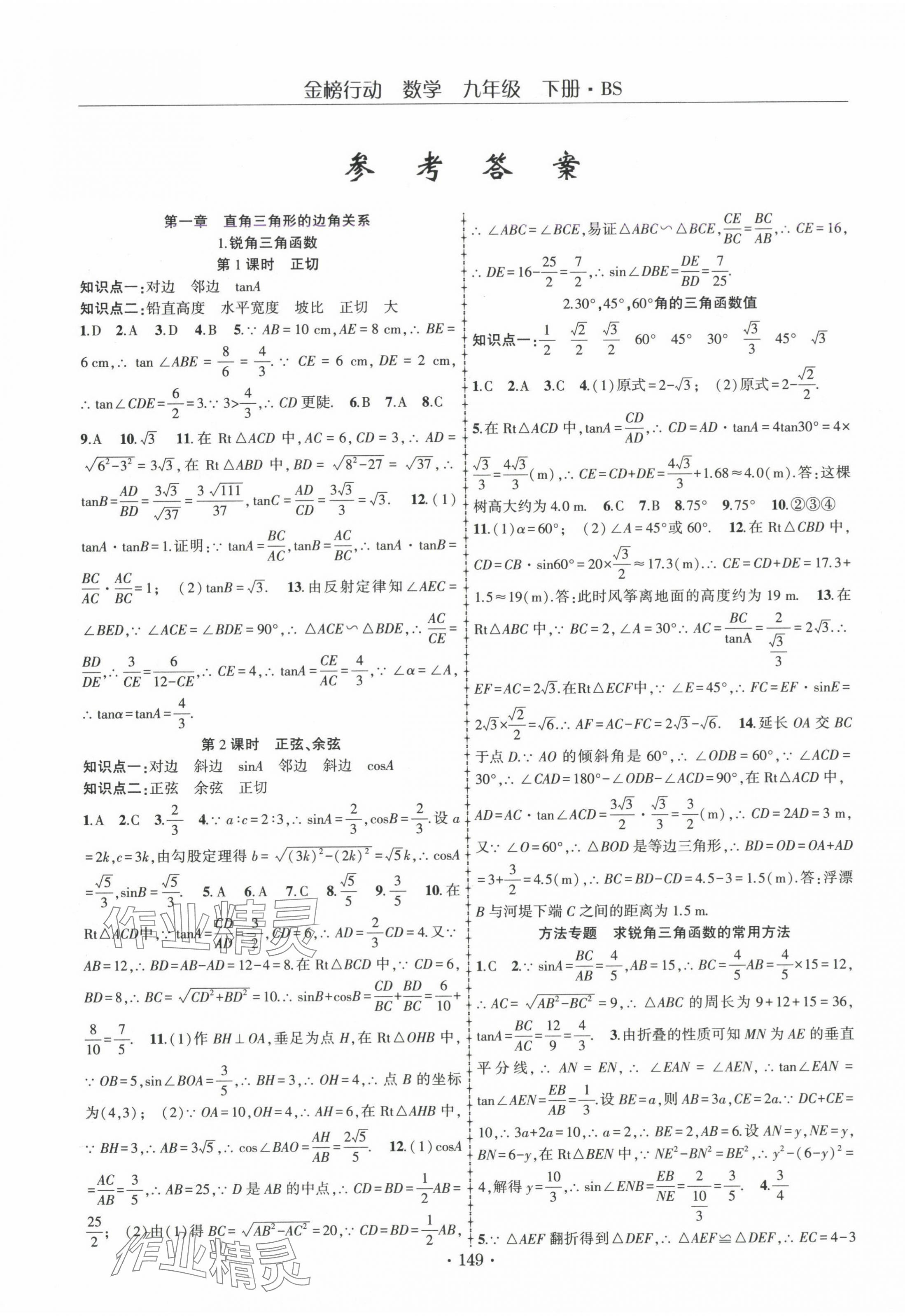 2025年金榜行动九年级数学下册北师大版 第1页