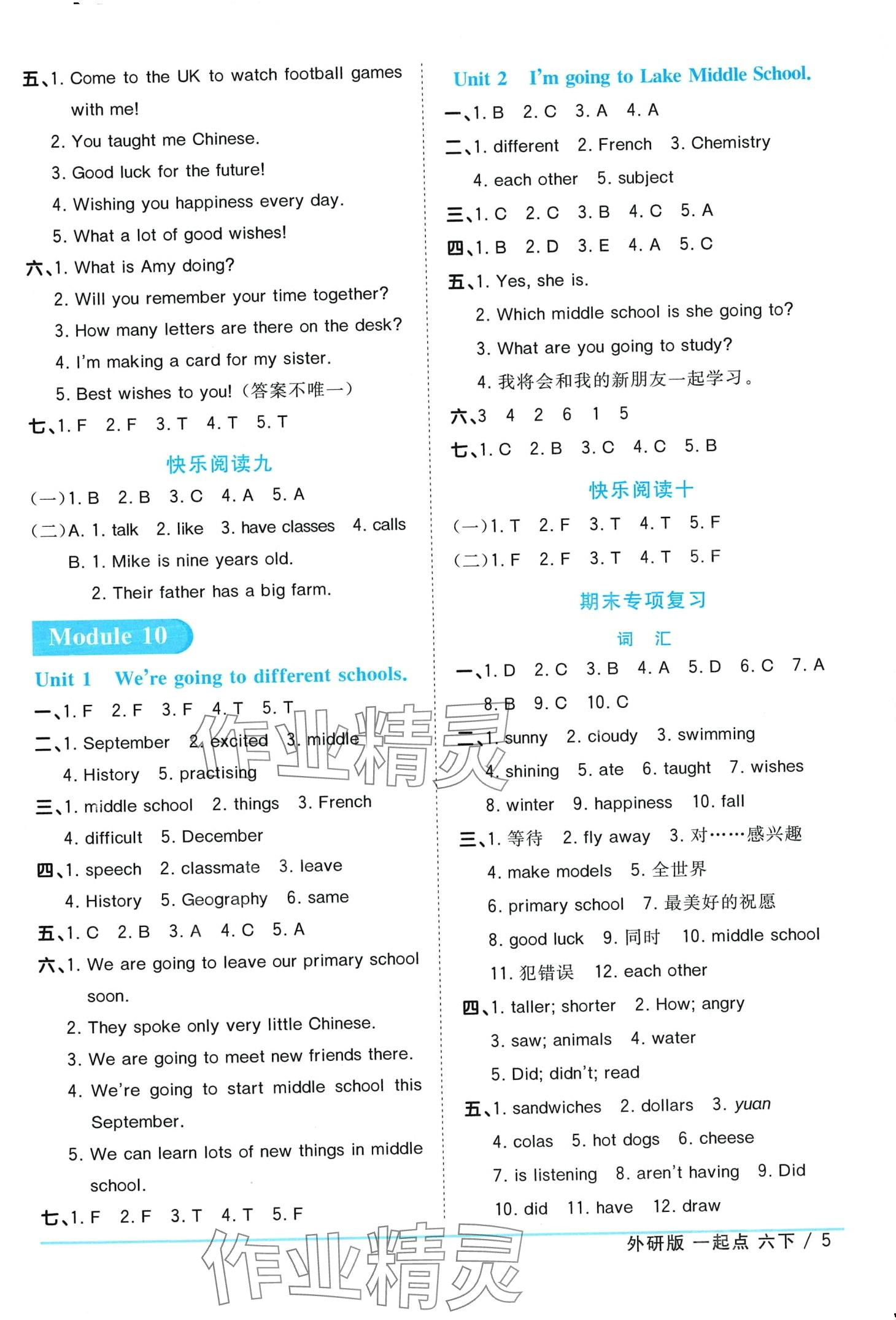 2024年阳光同学课时优化作业六年级英语下册外研版一年级起 第5页