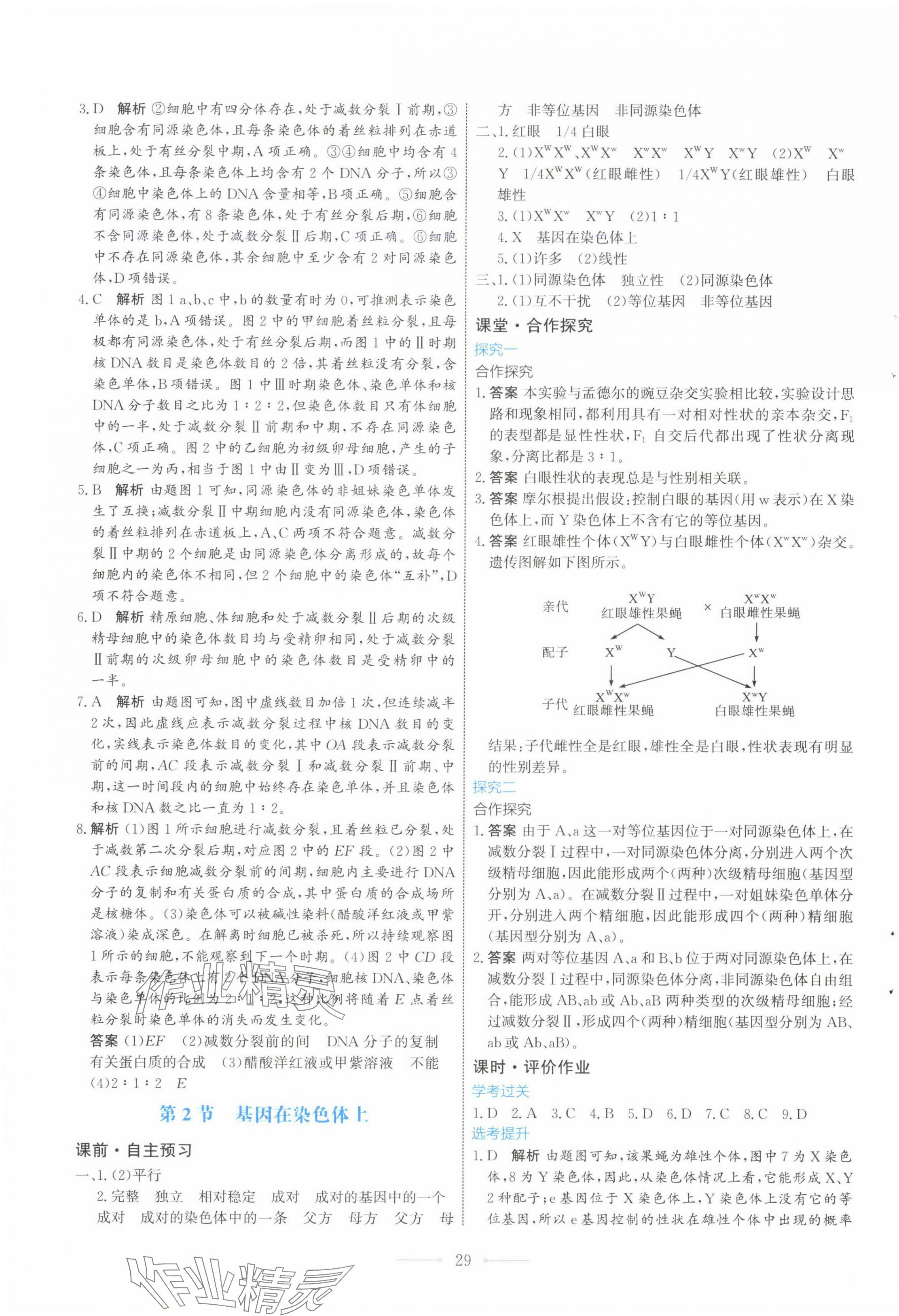 2024年陽光課堂人民教育出版社高中生物必修2福建專版 第5頁