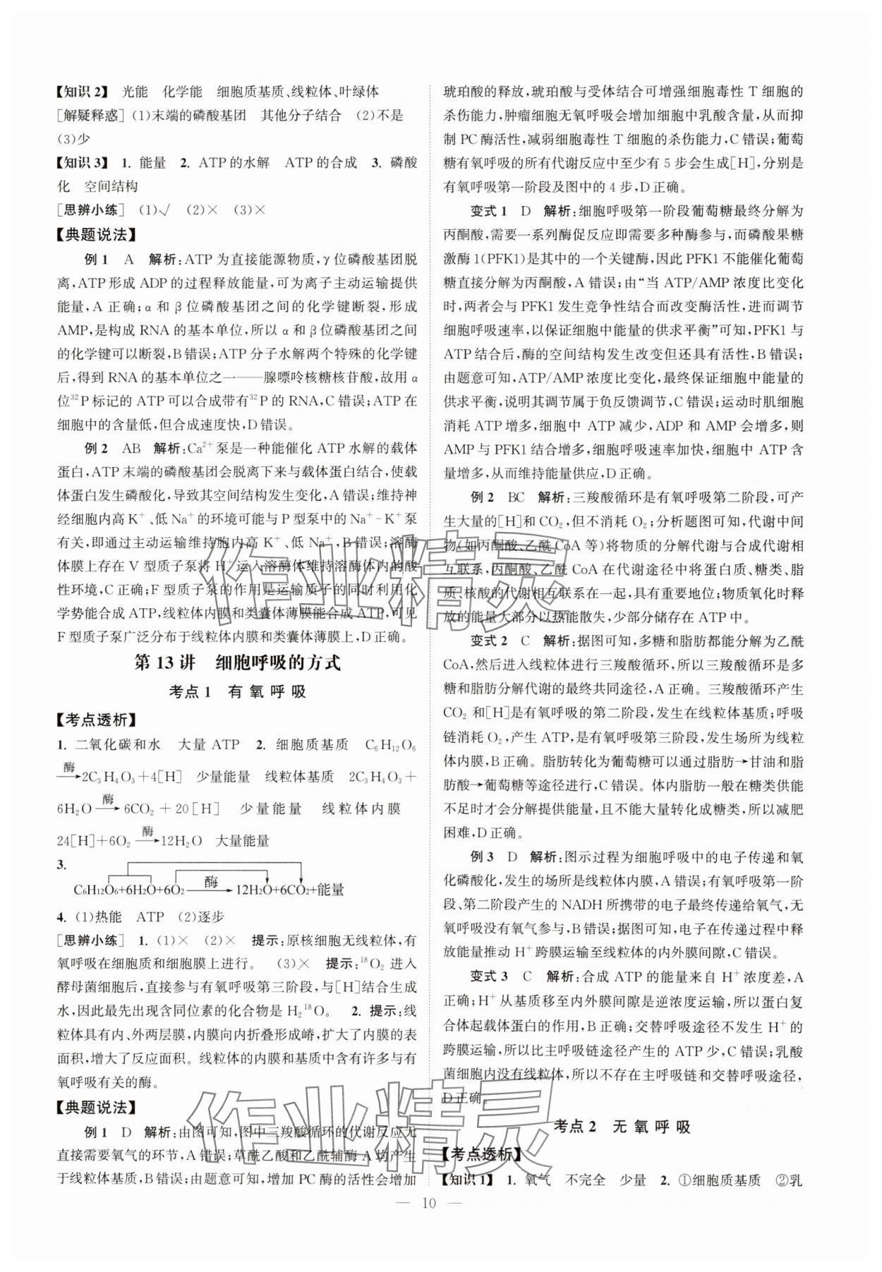 2025年南方凤凰台5A新考案生物江苏专版&nbsp;第10页