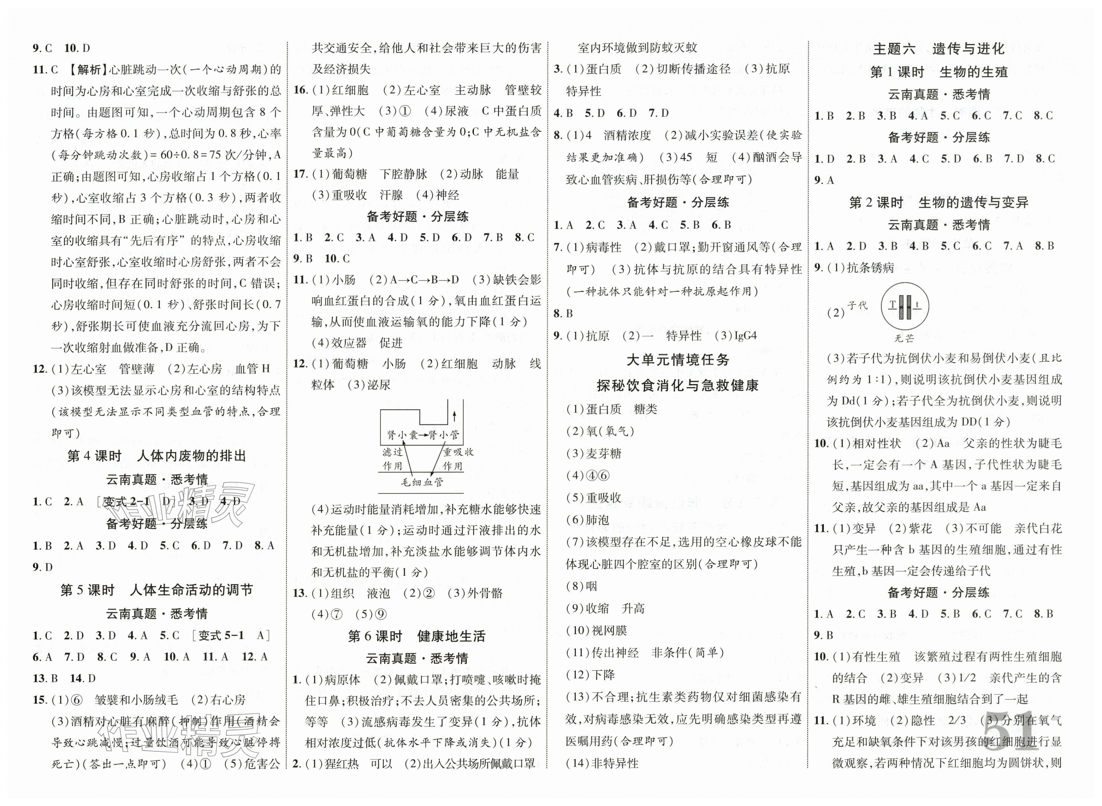 2026年中考总复习优化指导生物云南专版&nbsp;第3页