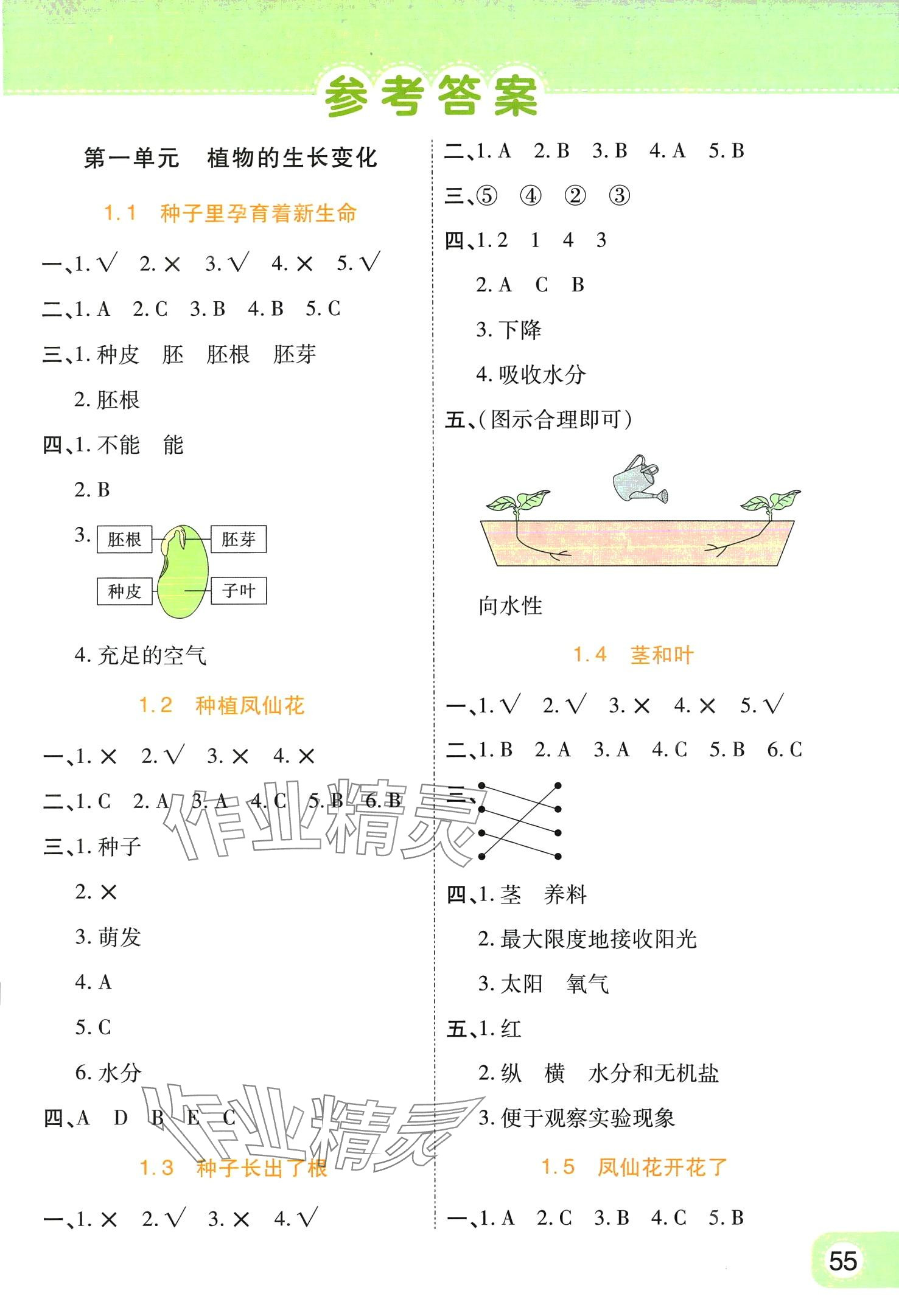 2024年黃岡同步練一日一練四年級(jí)科學(xué)下冊教科版 第1頁