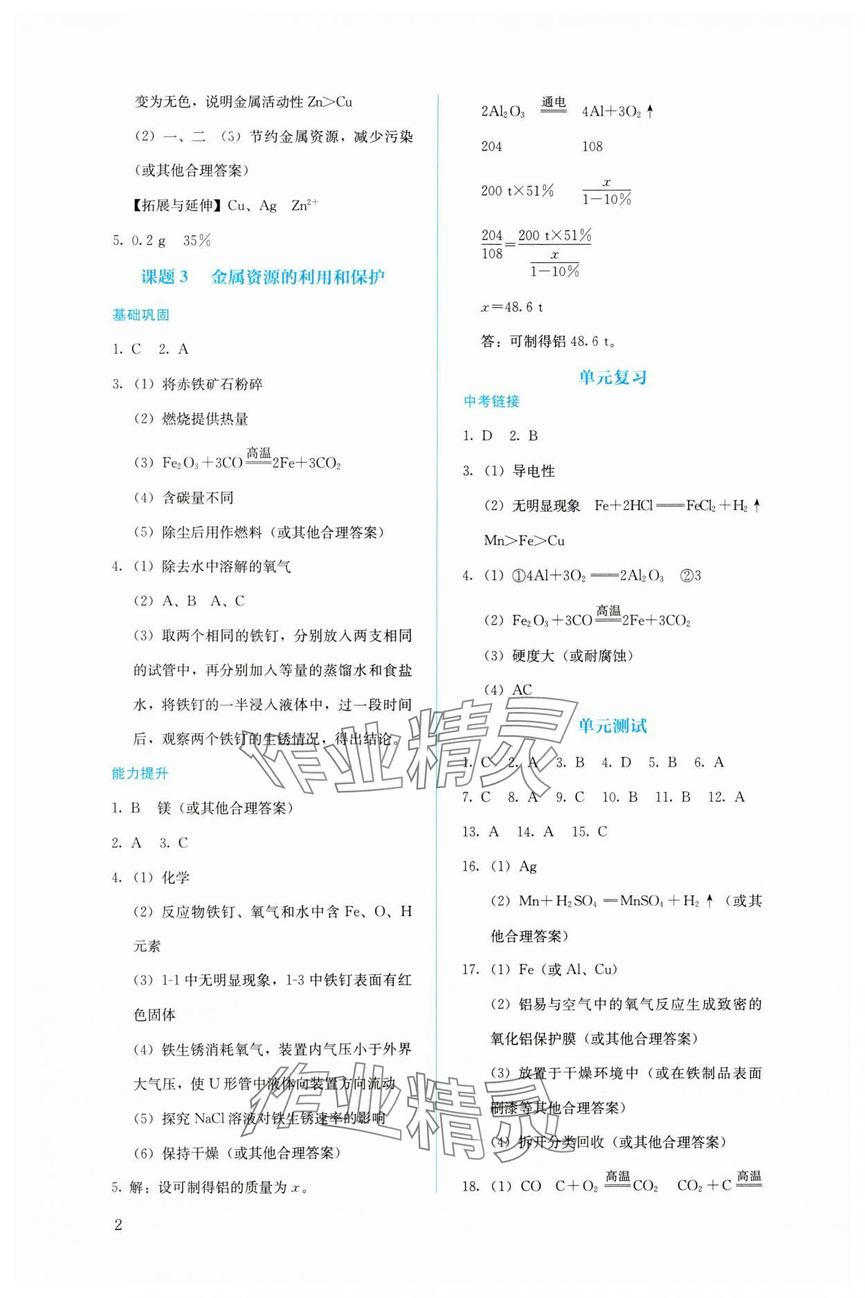 2024年人教金學(xué)典同步解析與測評九年級化學(xué)下冊人教版 第2頁