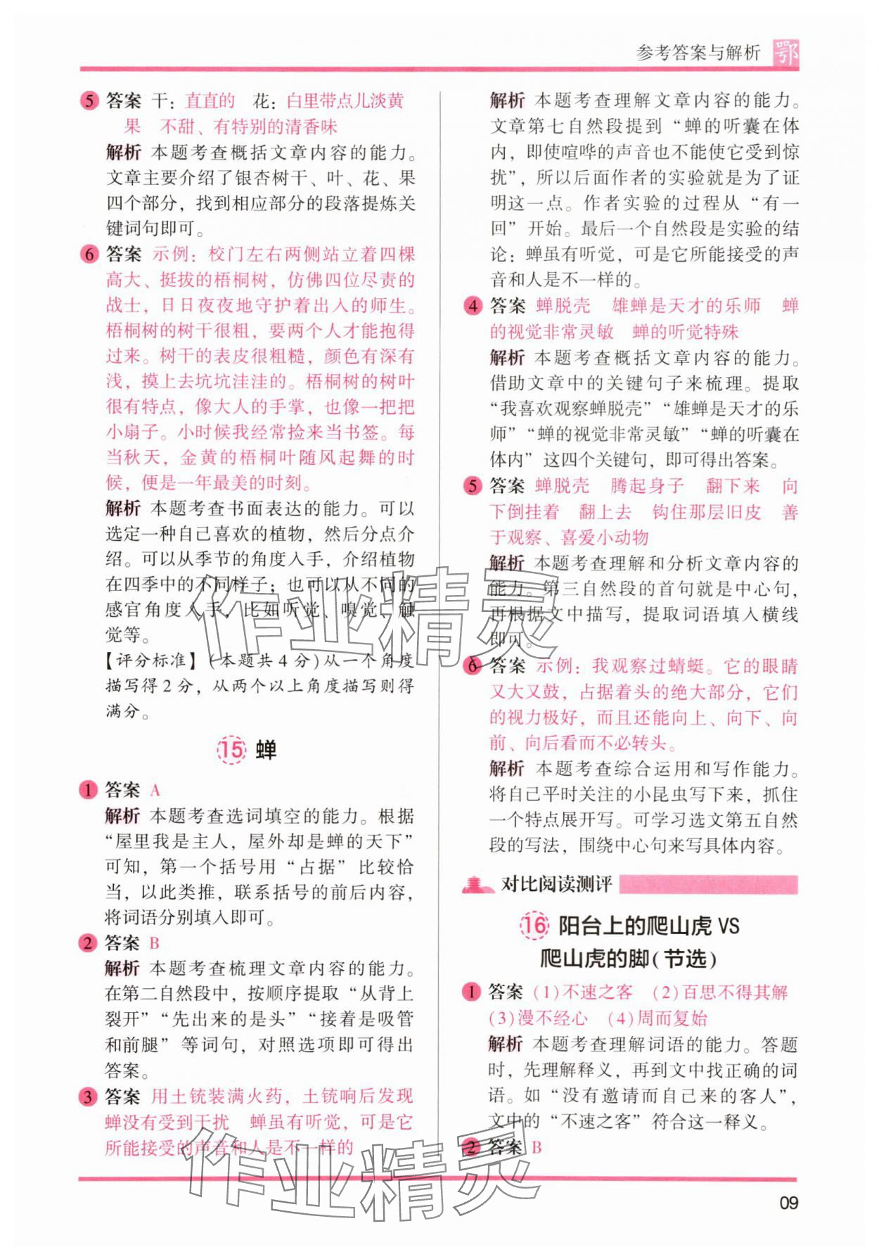 2025年木頭馬閱讀力測(cè)評(píng)四年級(jí)語(yǔ)文人教版A版武漢專版 第9頁(yè)