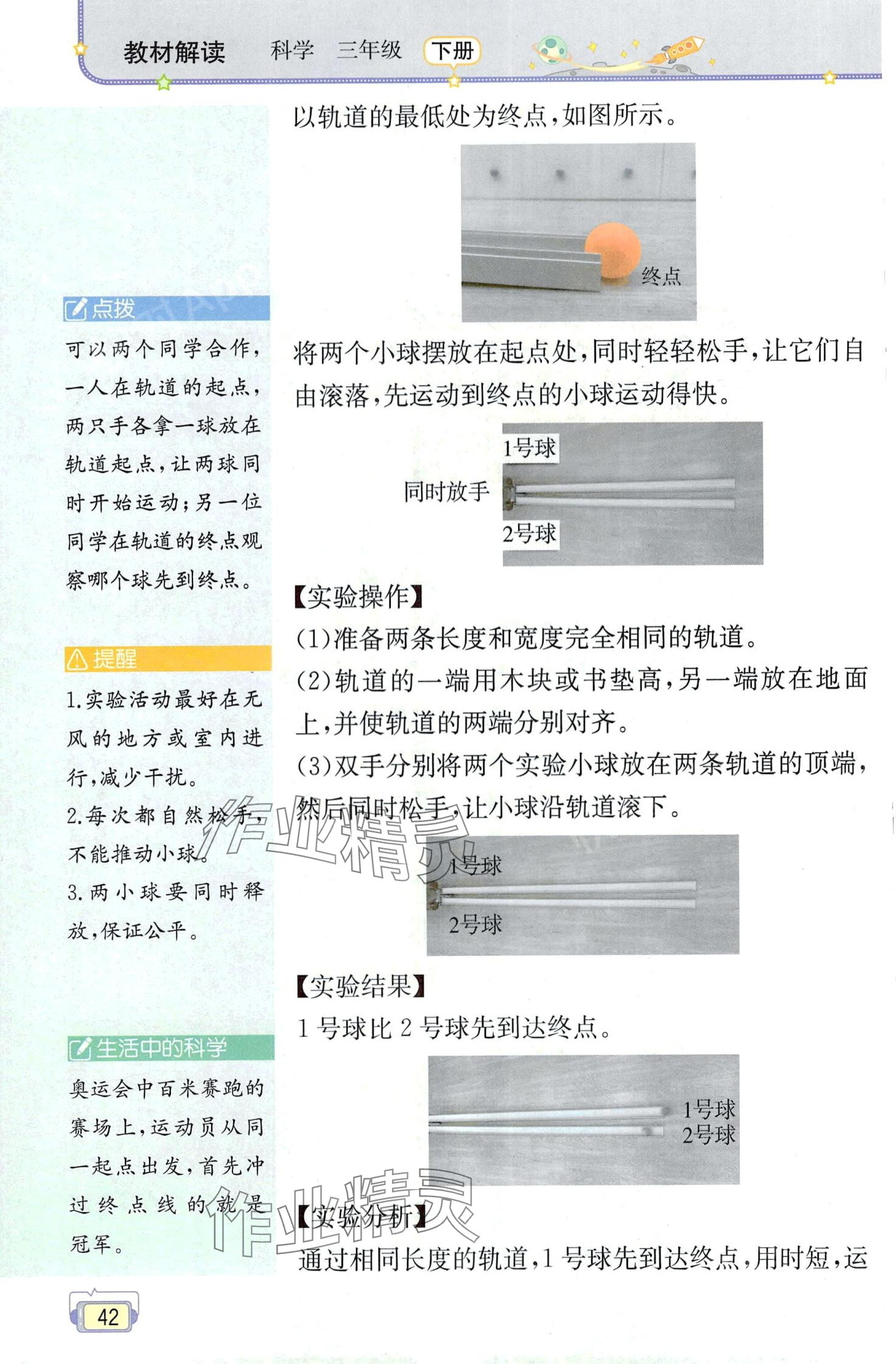 2024年教材课本三年级科学下册教科版 第42页