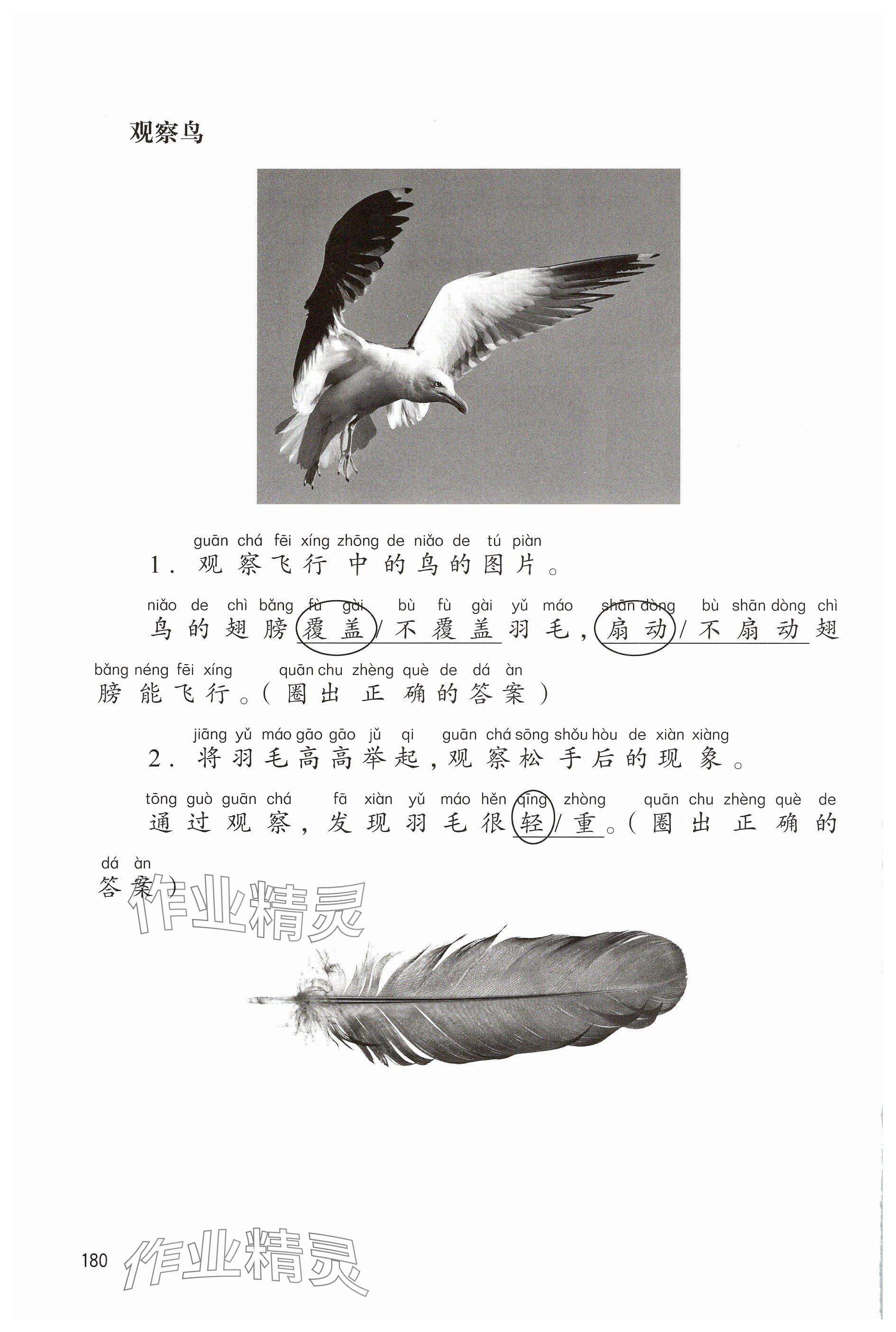 2025年科学活动手册一年级科学下册沪教版五四制&nbsp;参考答案第3页