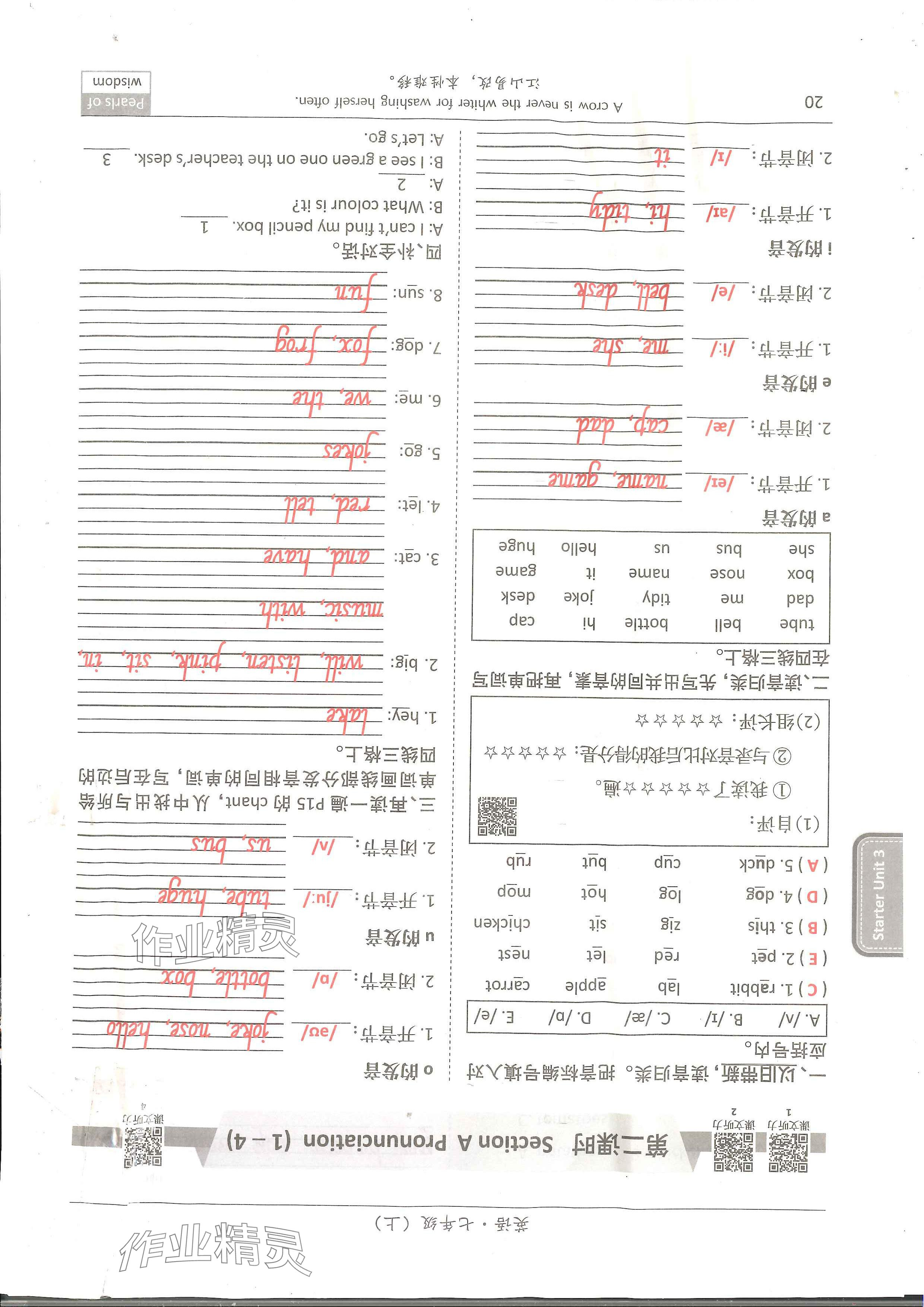 2024年新视界单元复习七年级英语上册人教版&nbsp;参考答案第19页