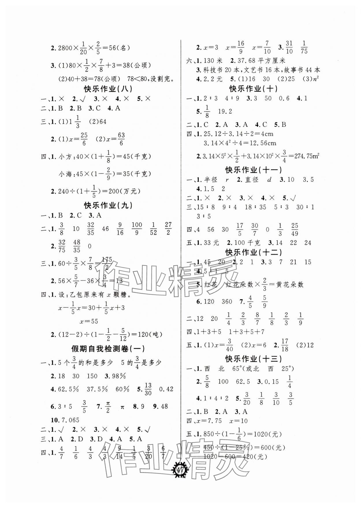 2025年智多星假期作业快乐寒假六年级数学人教版 参考答案第2页