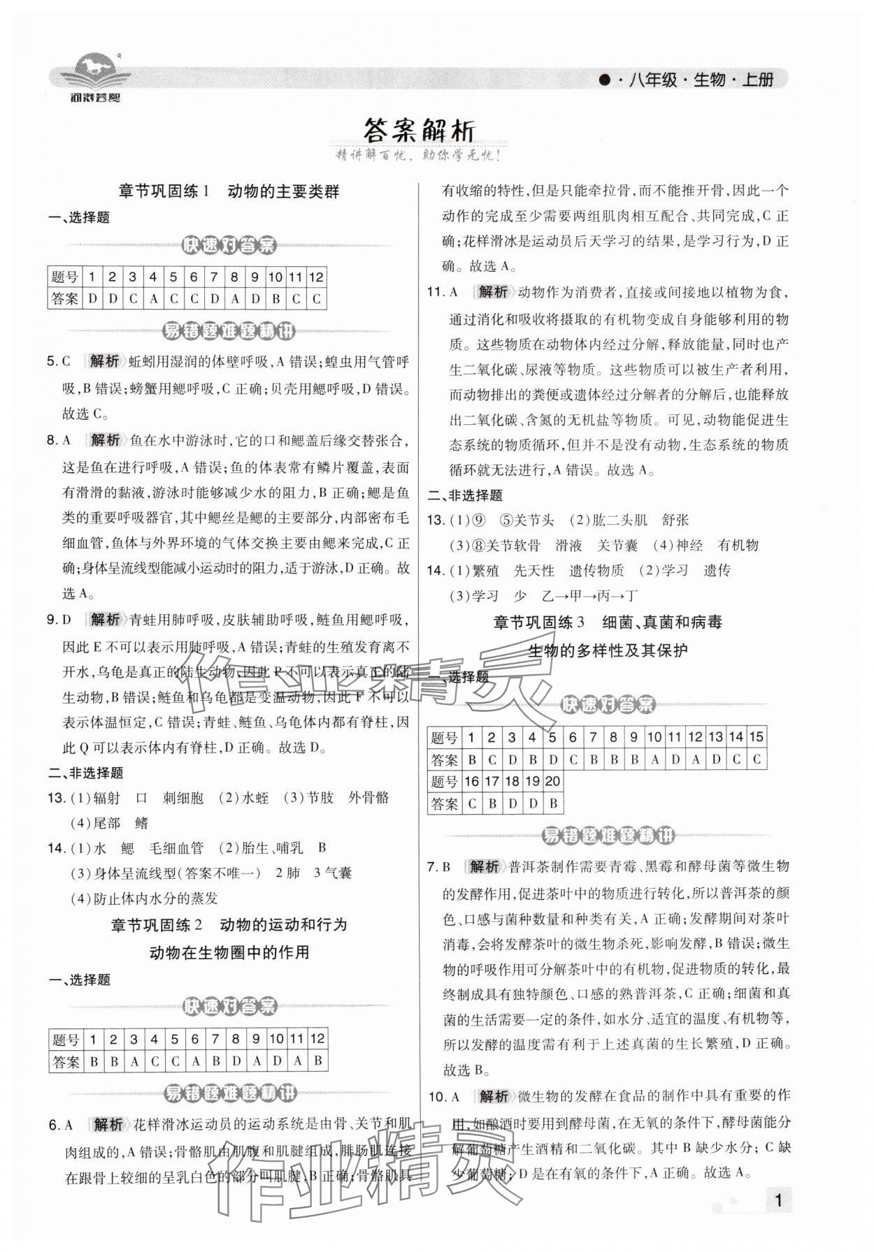 2024年期末考试必刷卷八年级生物上册人教版郑州专版 第1页