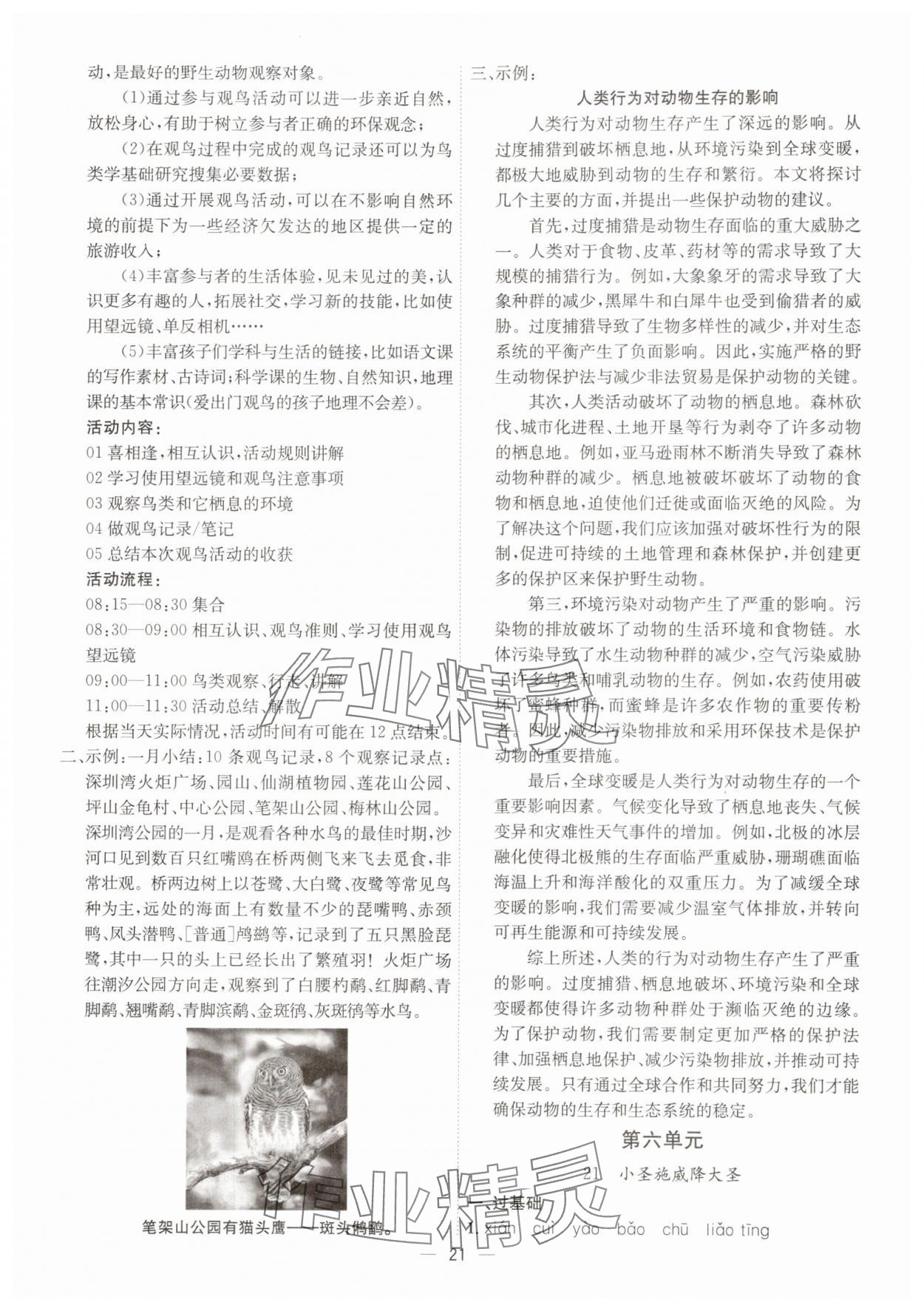 2025年考点专练七年级语文上册人教版深圳专版&nbsp;第21页