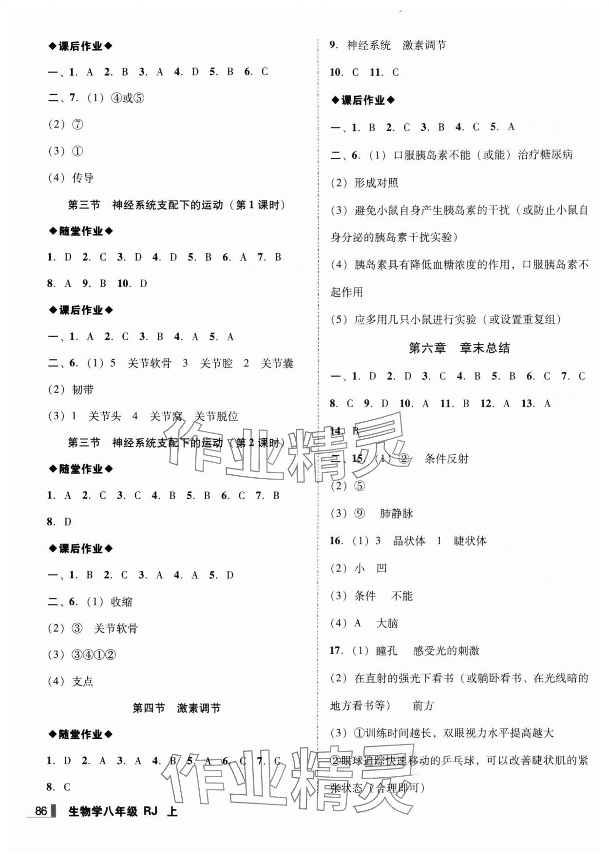 2025年辽宁作业分层培优学案八年级生物上册人教版 第2页