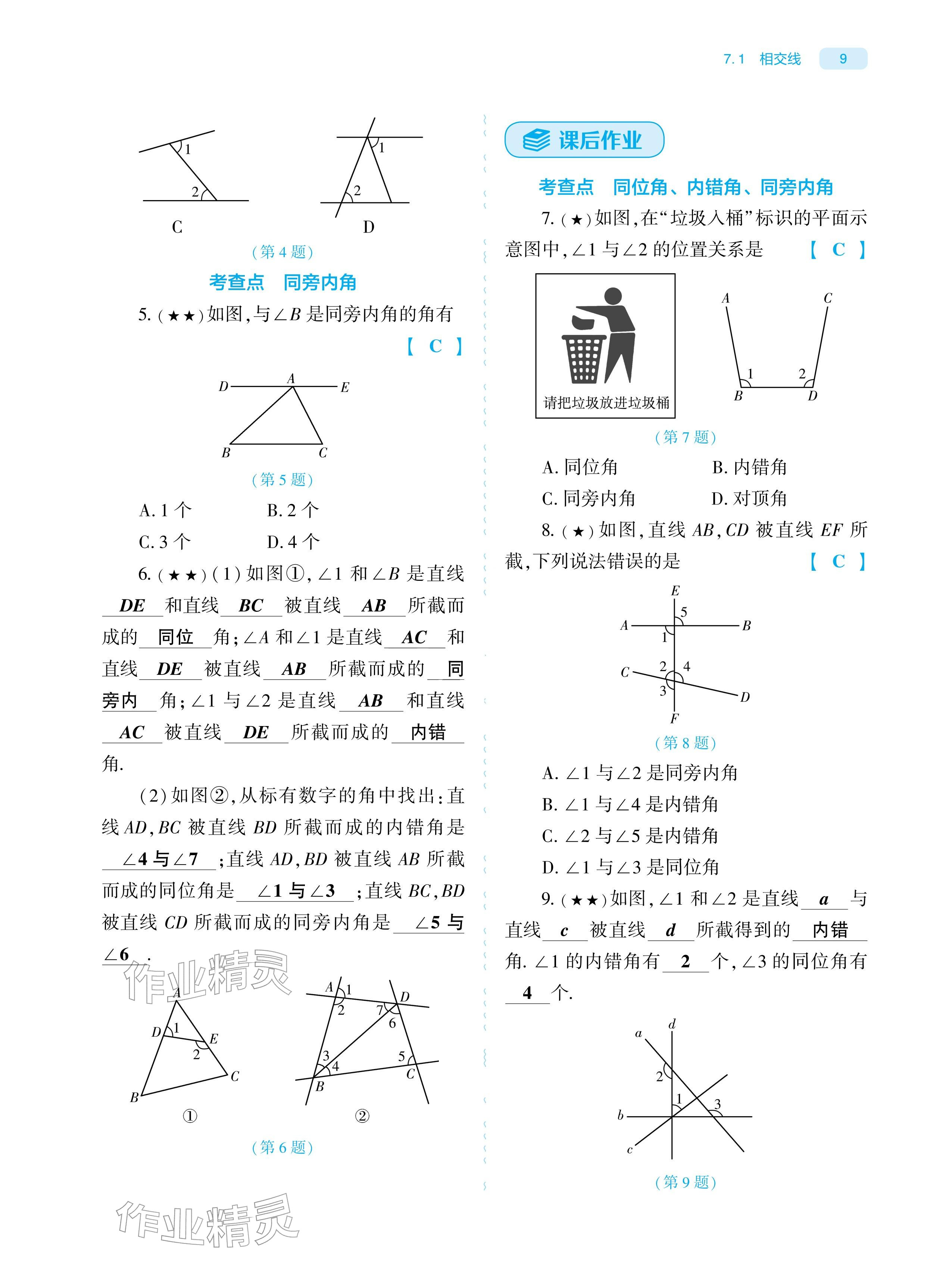 2026年基础训练大象出版社七年级数学下册人教版&nbsp;参考答案第9页