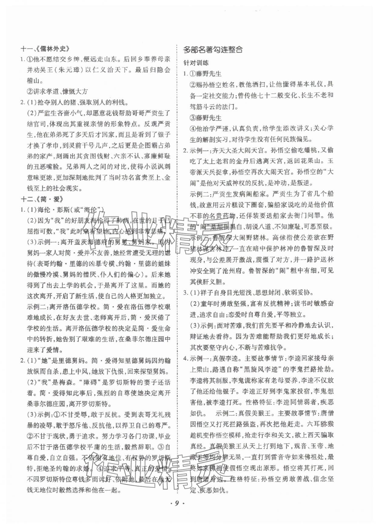 2025年本土攻略精準(zhǔn)復(fù)習(xí)方案語文云南專版 參考答案第9頁