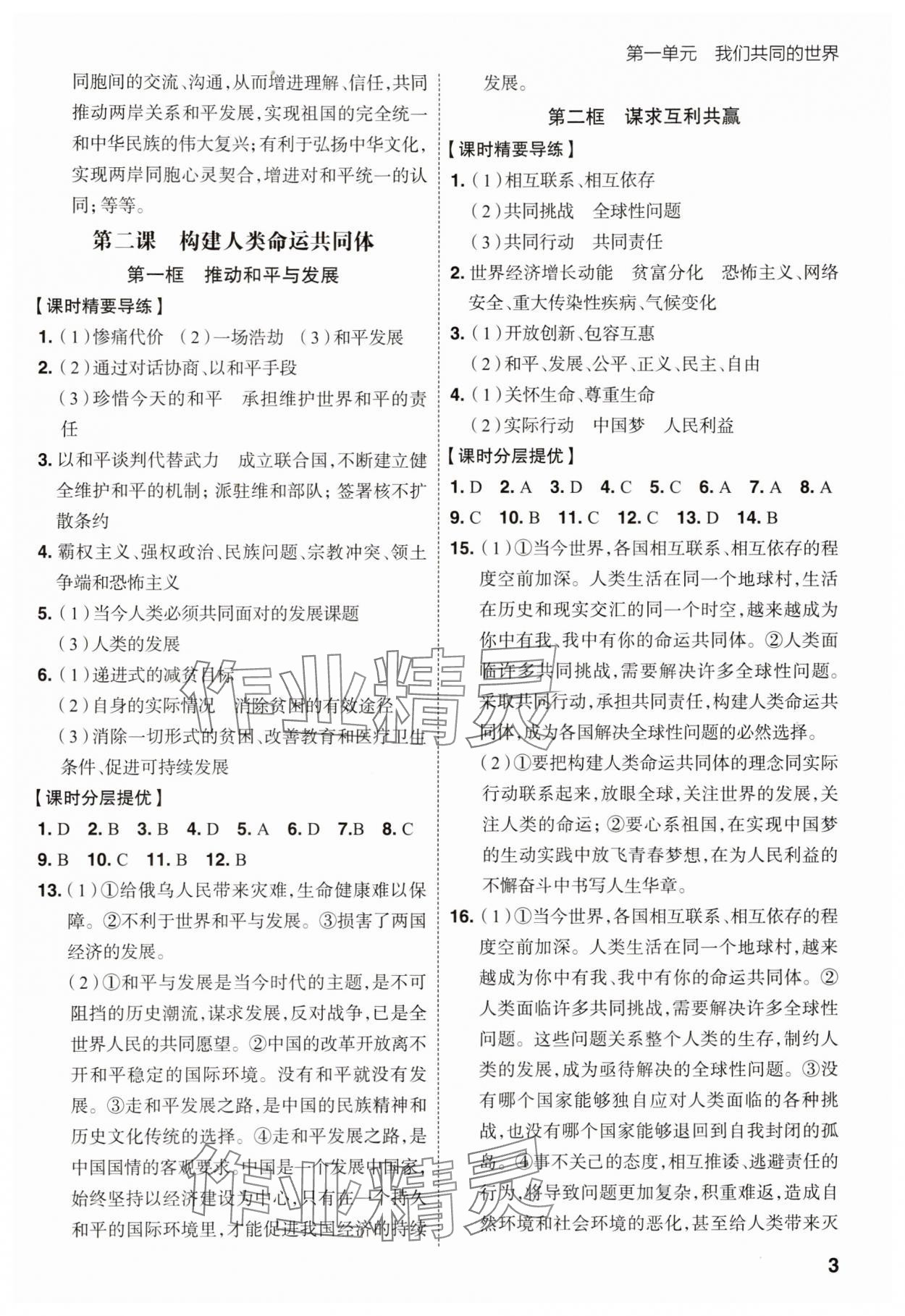 2025年考出好成績九年級道德與法治下冊人教版 參考答案第2頁