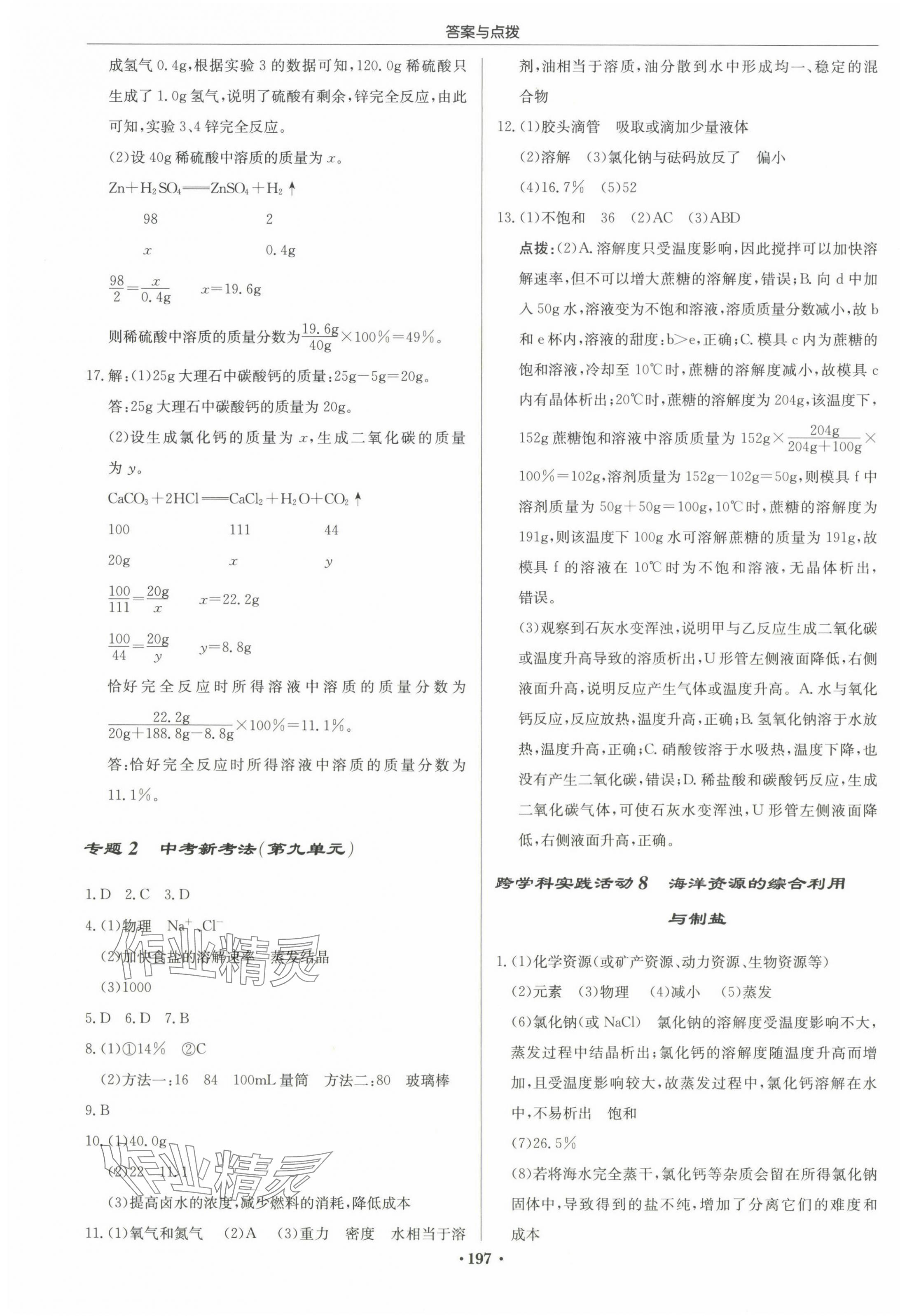 2025年啟東中學作業(yè)本九年級化學下冊人教版 第7頁