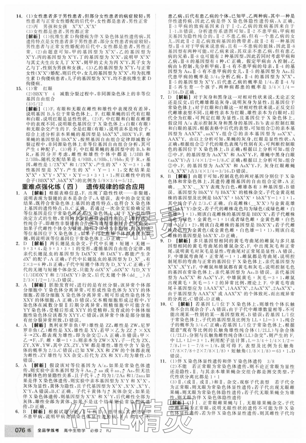 2025年全品学练考高中生物必修2人教版 第10页