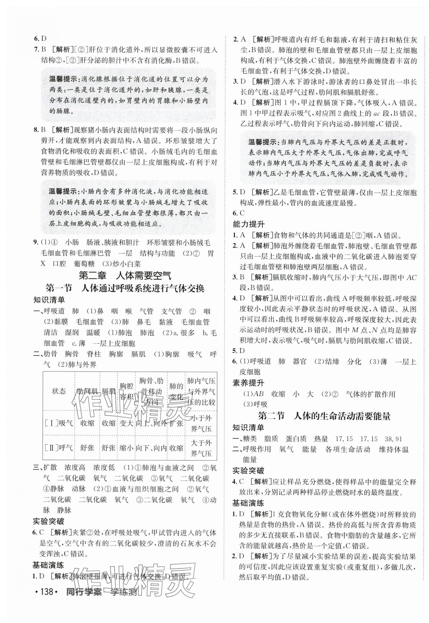2025年同行學(xué)案八年級生物上冊濟(jì)南版 第3頁