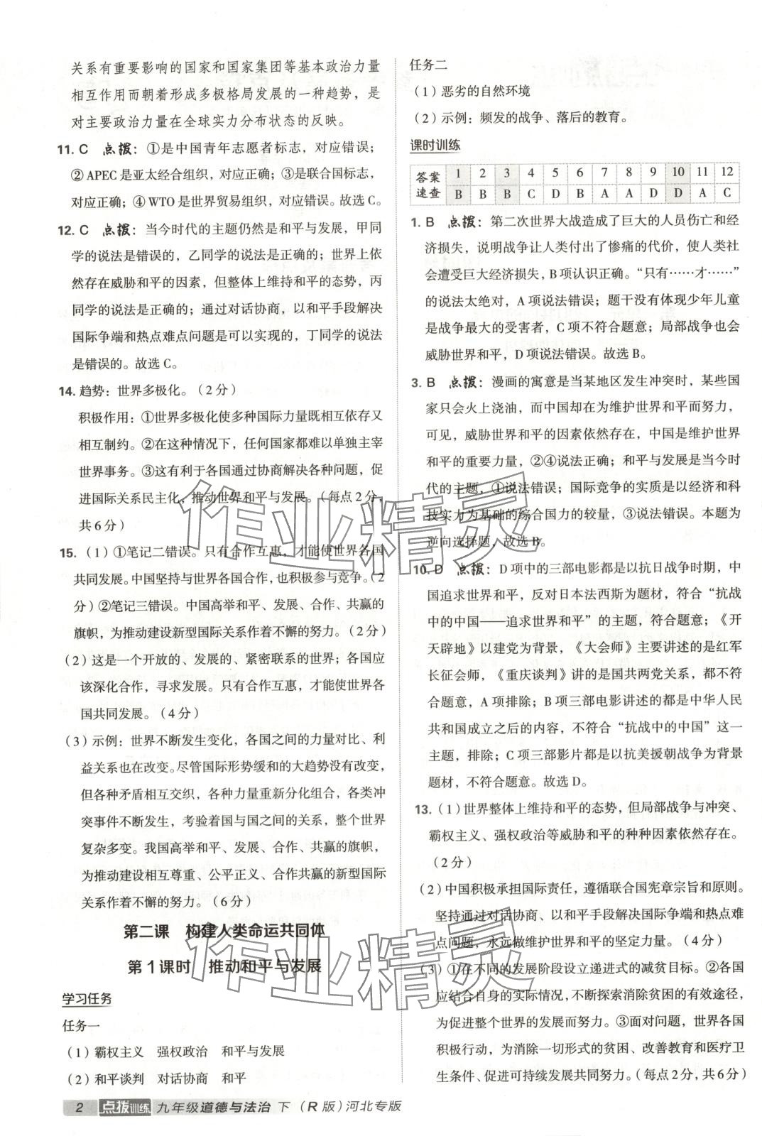 2025年点拨训练九年级道德与法治下册人教版河北专版 第2页