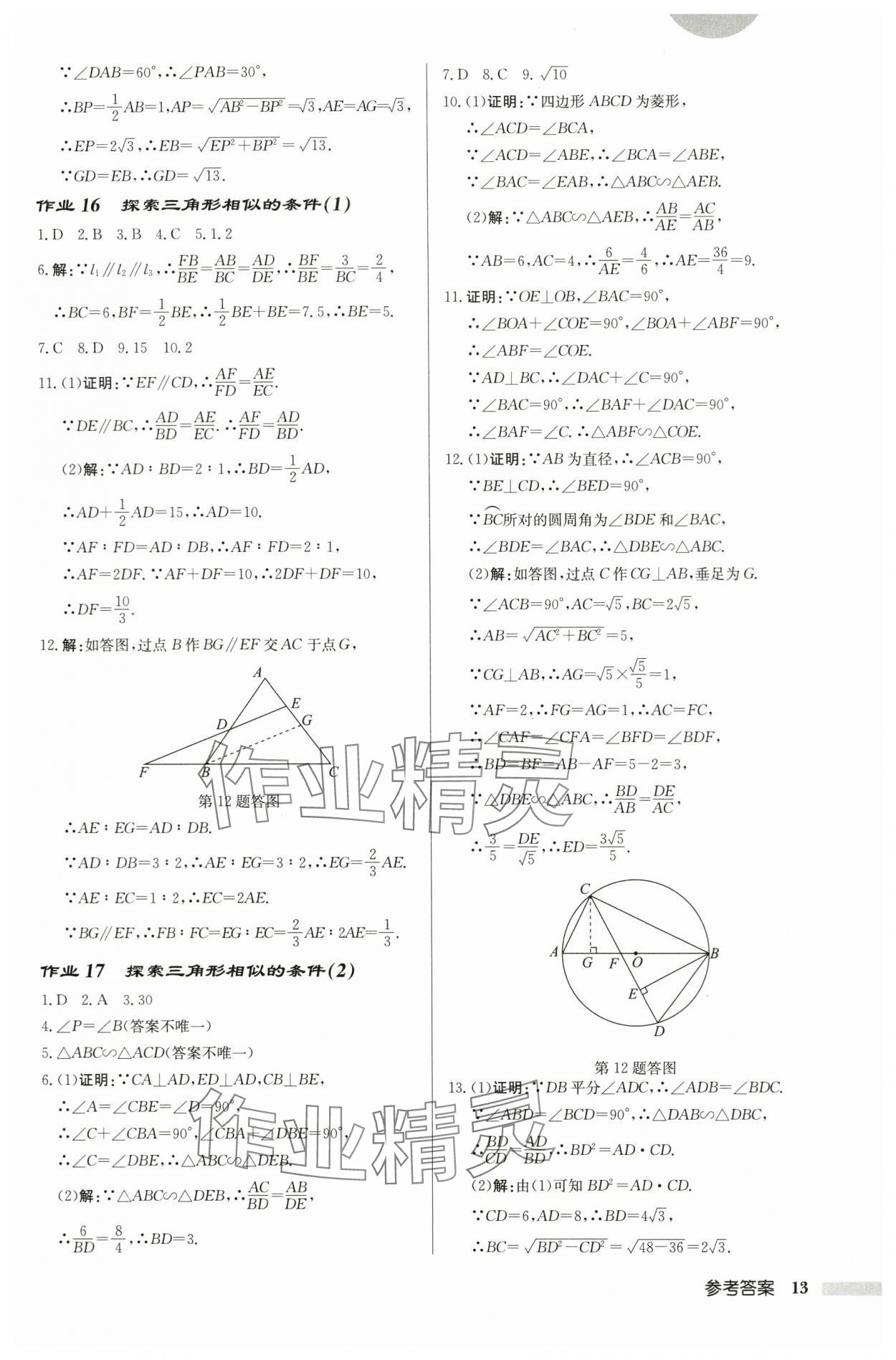 2024年启东中学作业本九年级数学下册苏科版徐州专版 第13页