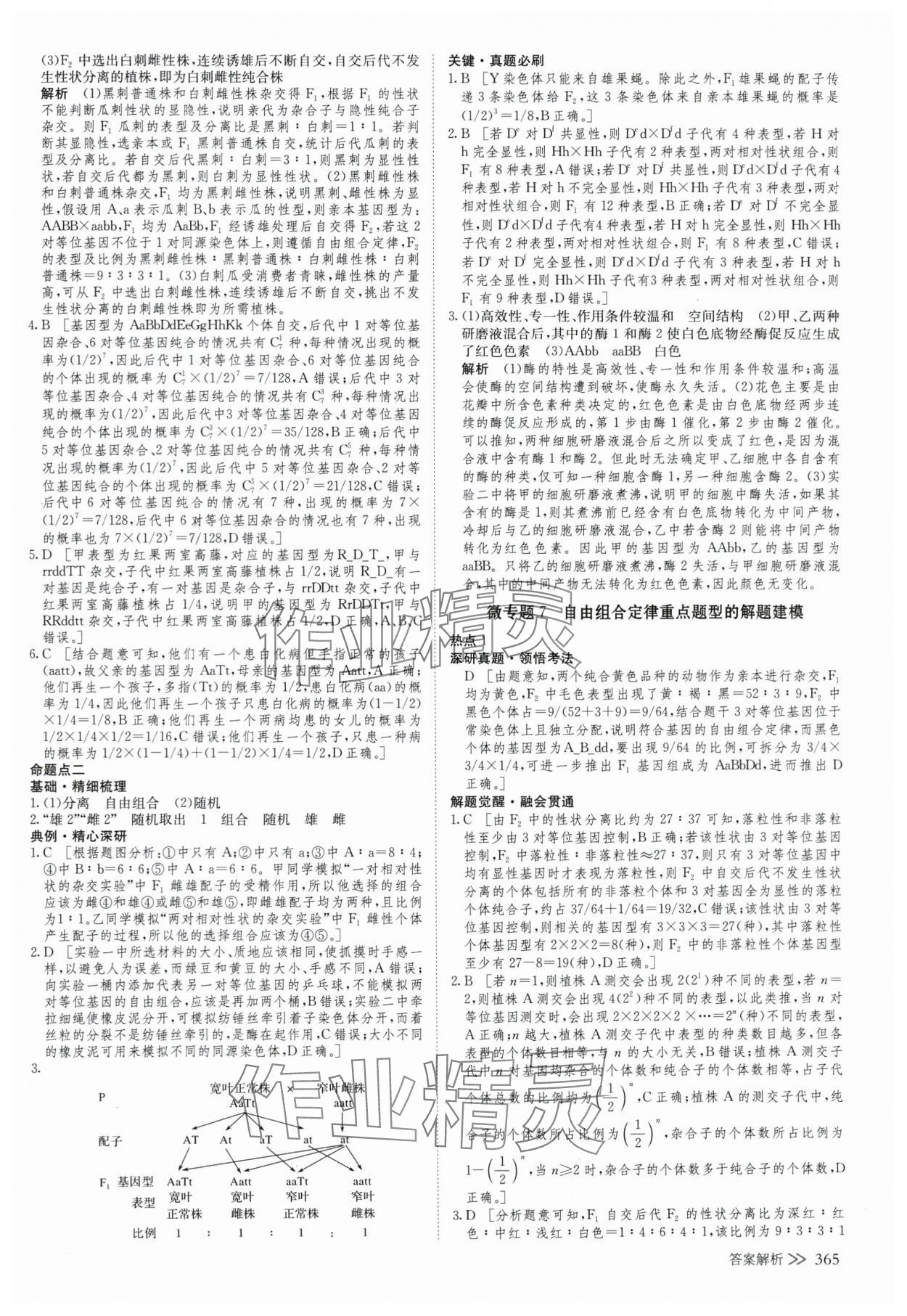 2025年创新设计高考总复生物浙科版 参考答案第21页