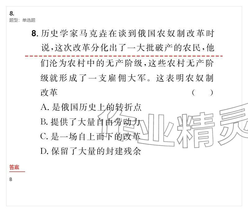 2026年優(yōu)質(zhì)課堂導(dǎo)學(xué)案九年級歷史下冊人教版&nbsp;參考答案第19頁