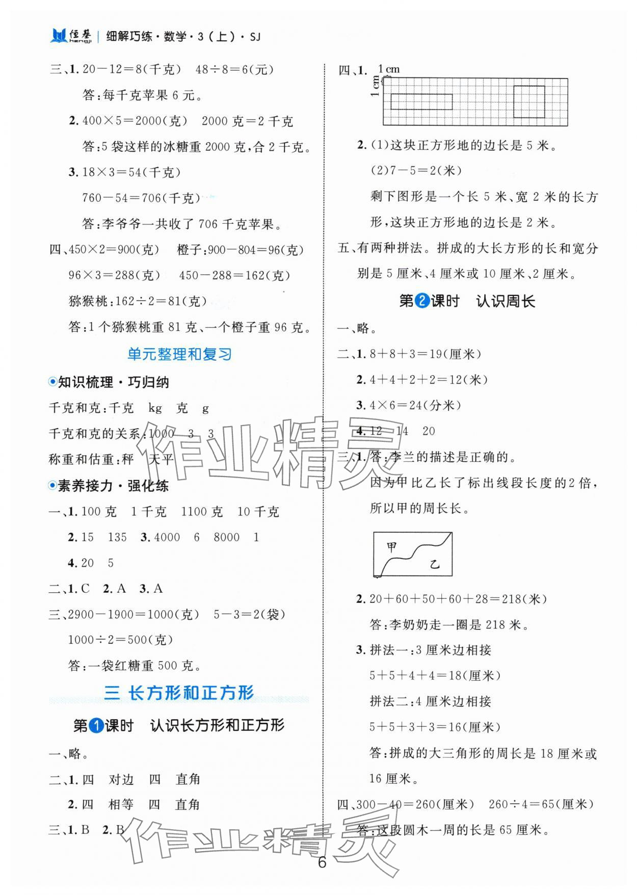 2024年细解巧练三年级数学上册苏教版 参考答案第6页