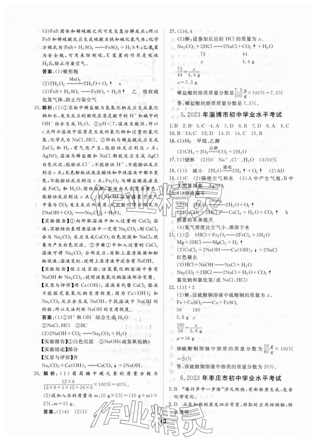 2024年風向標初中學業水平測試山東省各地市中考試題匯編化學 參考答案第12頁