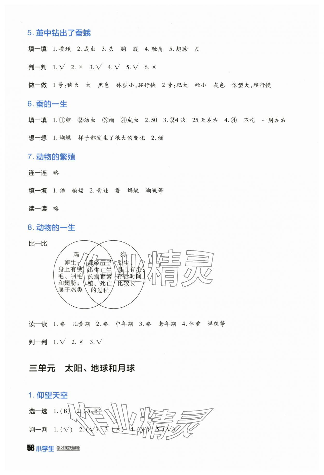 2025年學(xué)習(xí)實(shí)踐園地三年級(jí)科學(xué)下冊(cè)教科版 參考答案第4頁