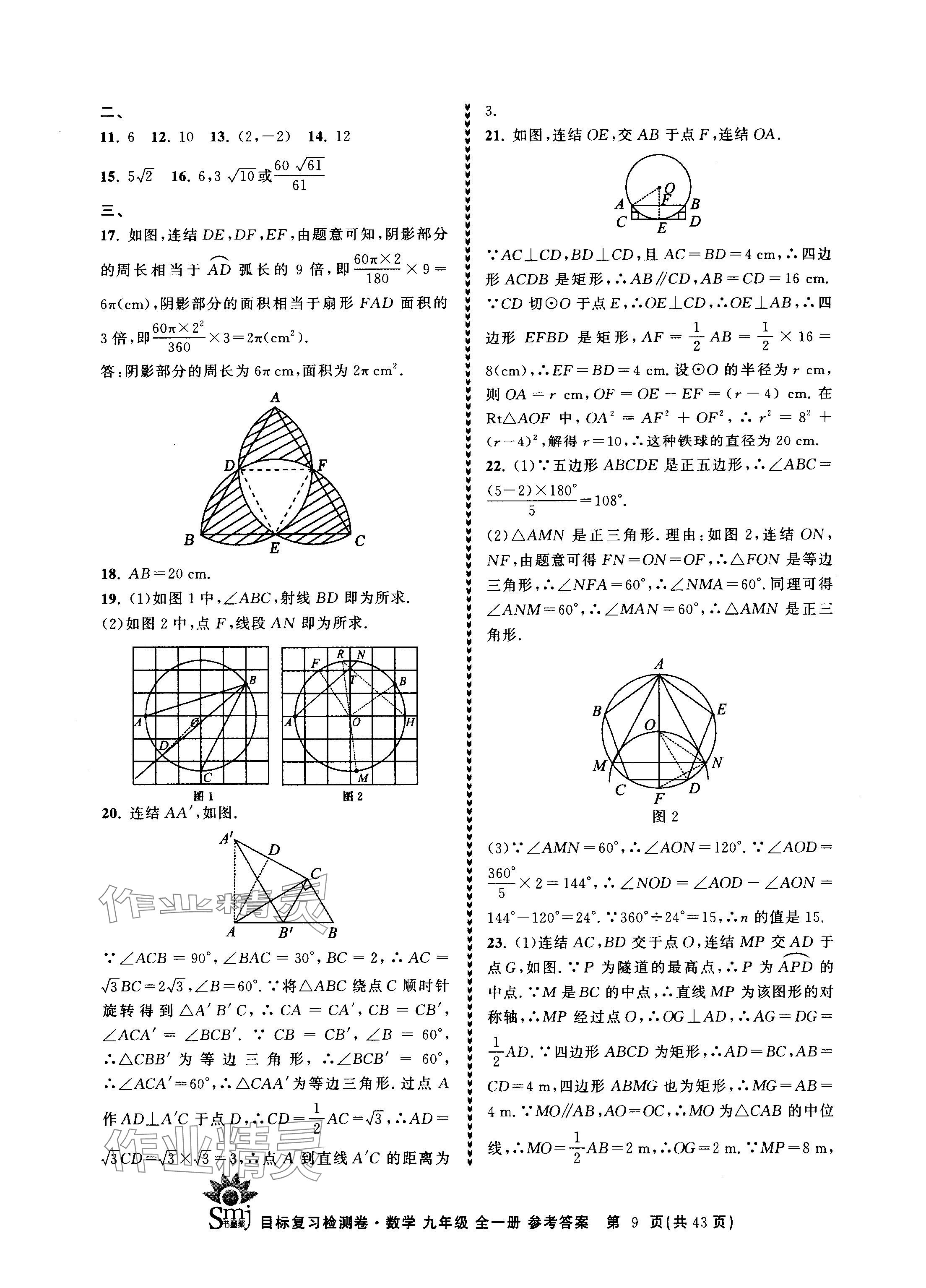 2024年目標(biāo)復(fù)習(xí)檢測卷九年級數(shù)學(xué)全一冊浙教版 參考答案第9頁