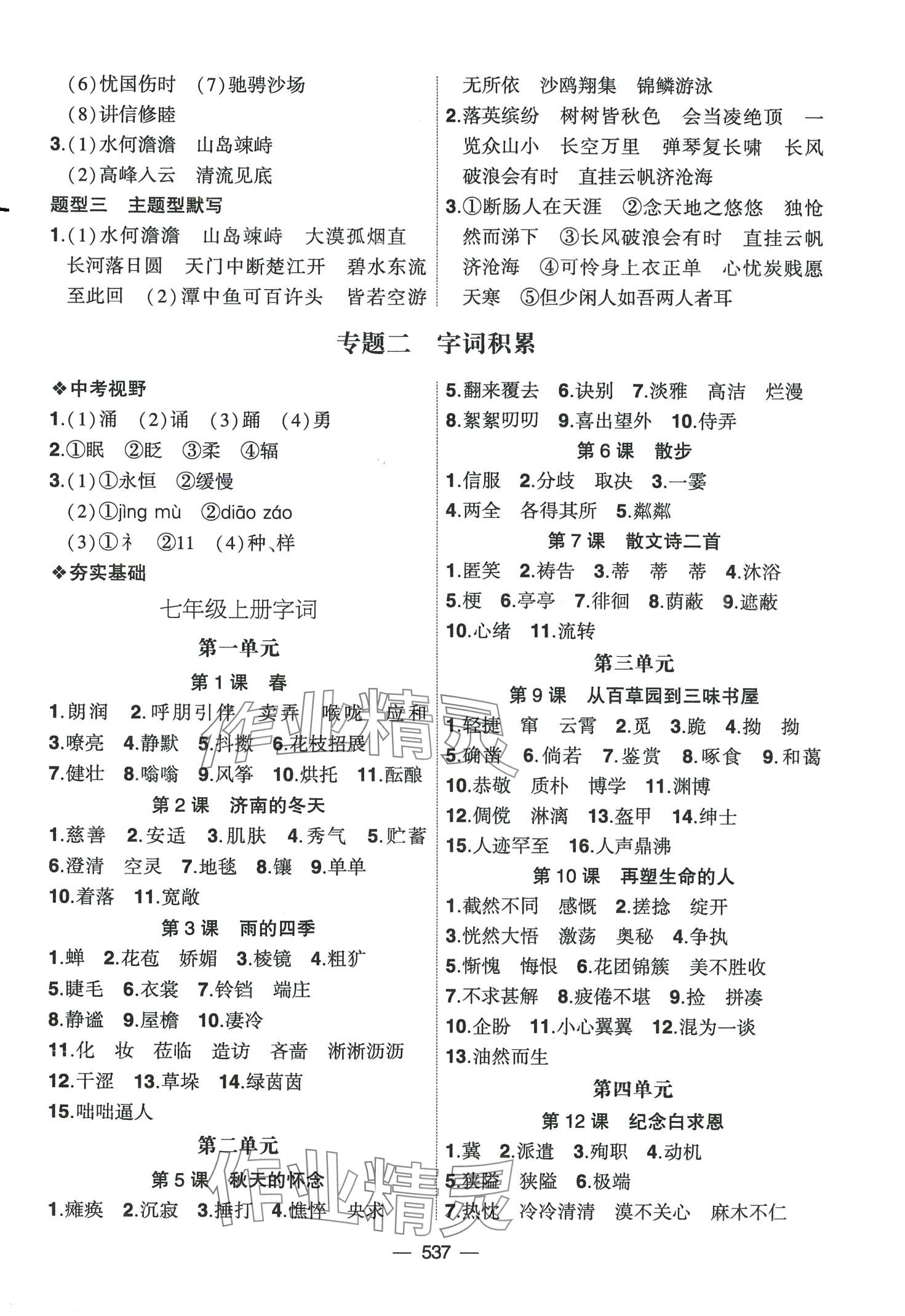 2024年創(chuàng)新A+中考總復習語文廣東專版 第9頁