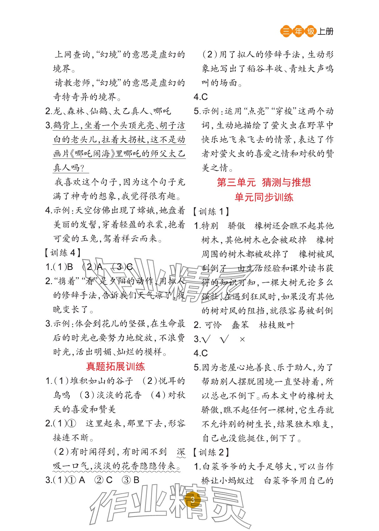 2025年阅读理解专项训练三年级语文上册人教版&nbsp;参考答案第3页