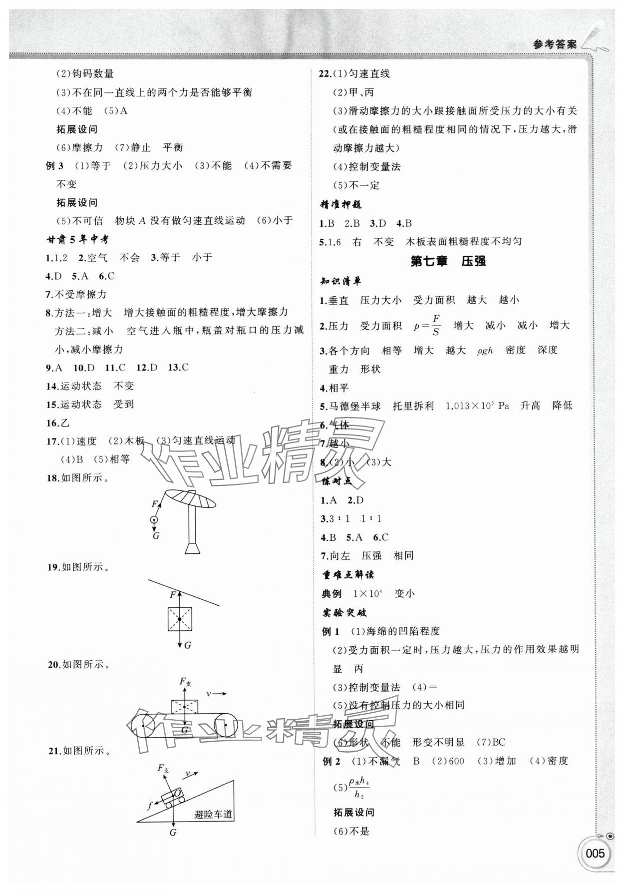 2025年首席中考物理甘肃专版&nbsp;第5页