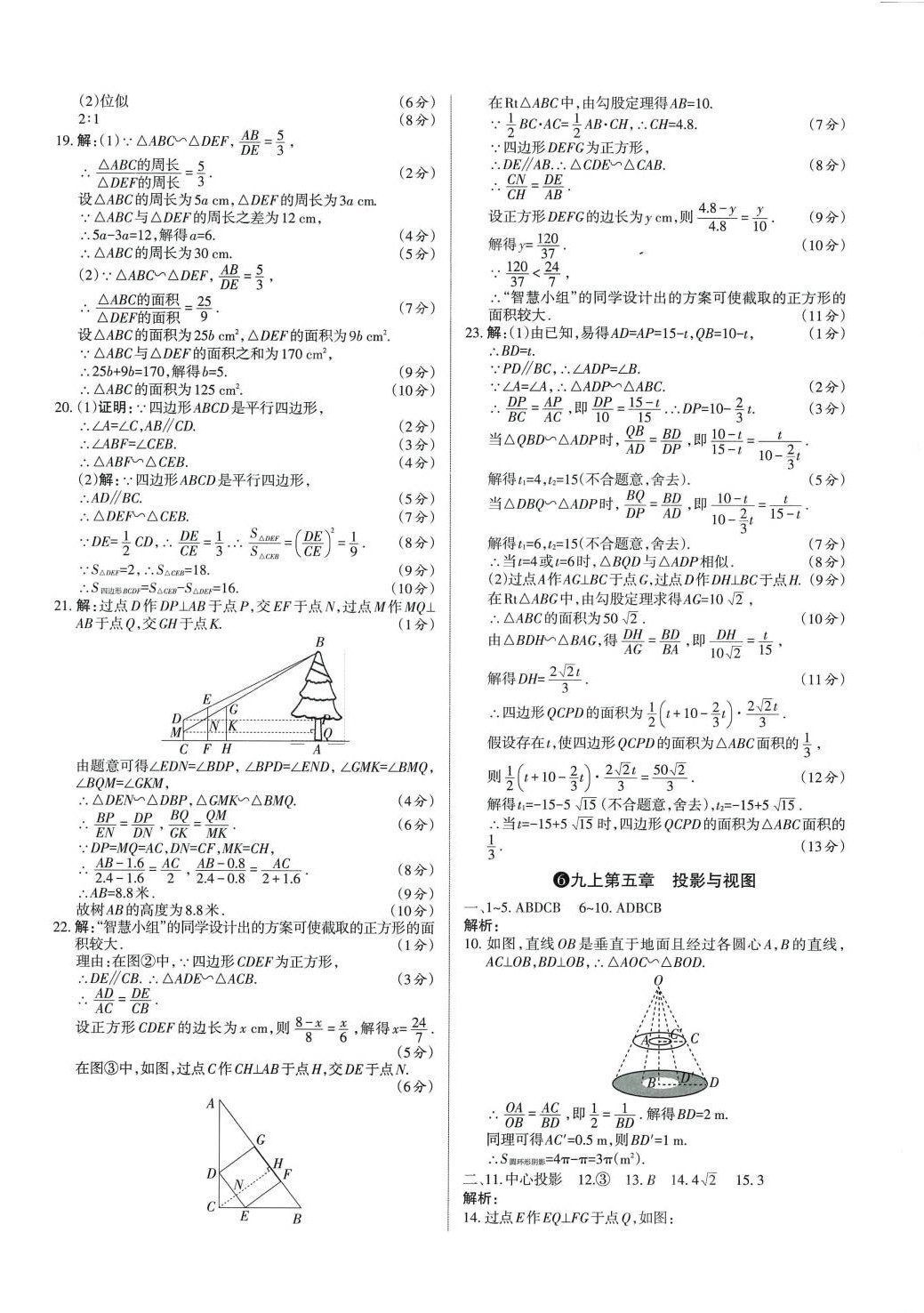 2024年山西名師原創(chuàng)試卷九年級數(shù)學全一冊北師大版 參考答案第8頁