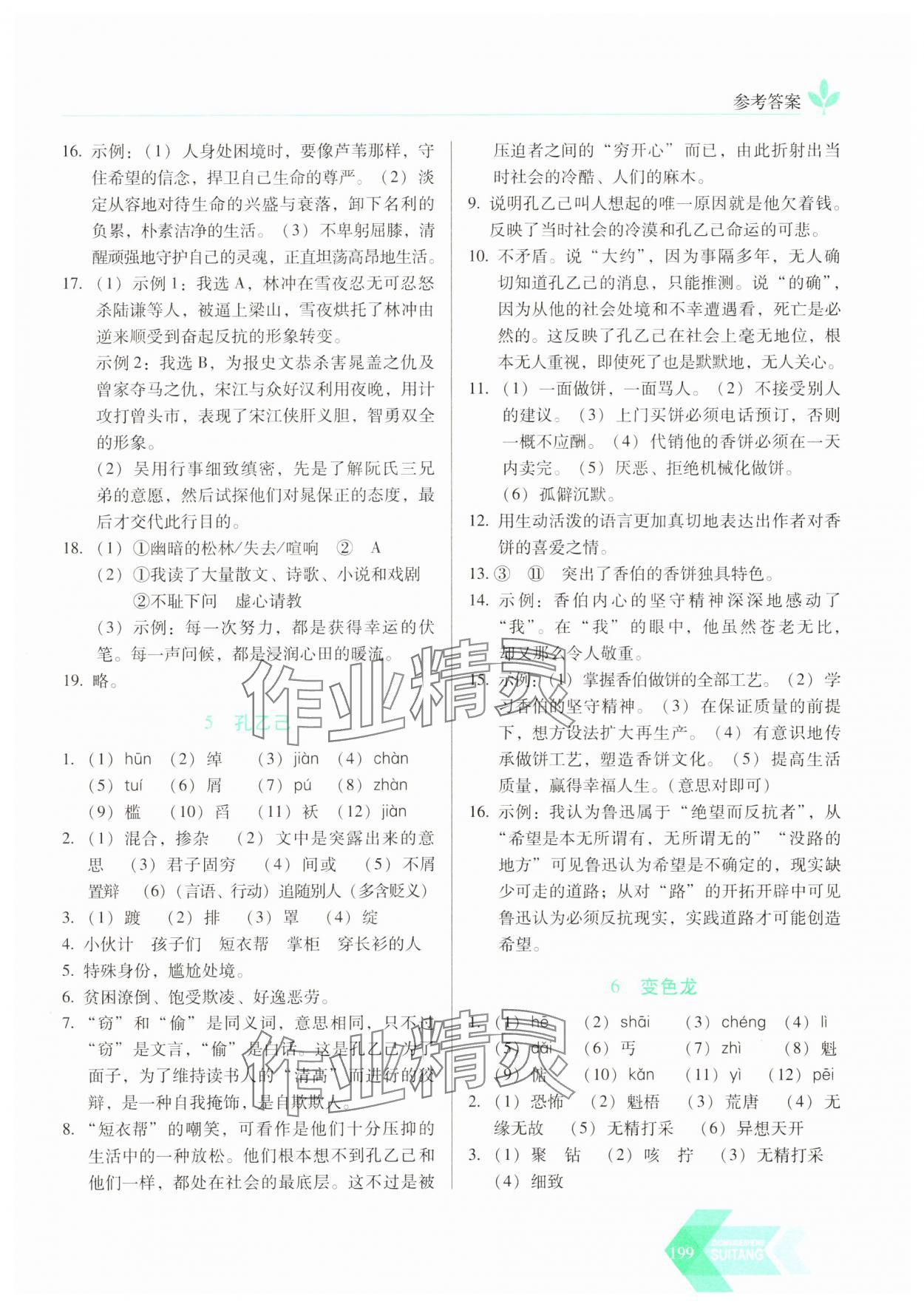 2025年随堂同步练习九年级语文下册人教版 参考答案第4页