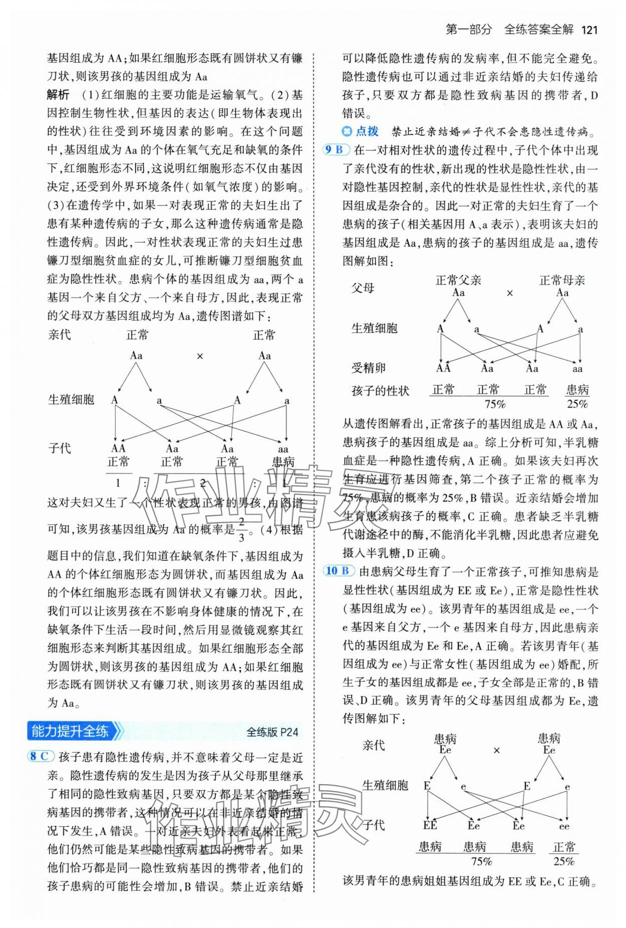 2025年5年中考3年模擬八年級(jí)生物下冊(cè)冀少版 參考答案第11頁(yè)