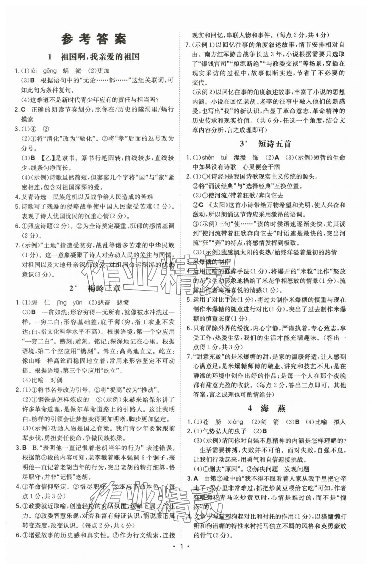 2024年一本同步訓(xùn)練九年級語文下冊人教版安徽專版 第1頁