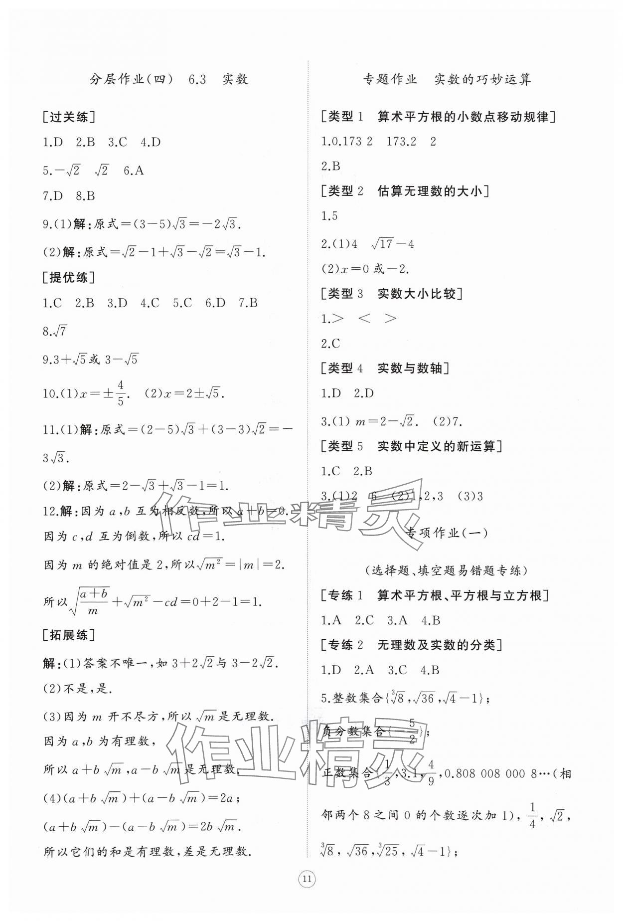 2024年同步練習(xí)冊智慧作業(yè)七年級數(shù)學(xué)下冊人教版 參考答案第11頁