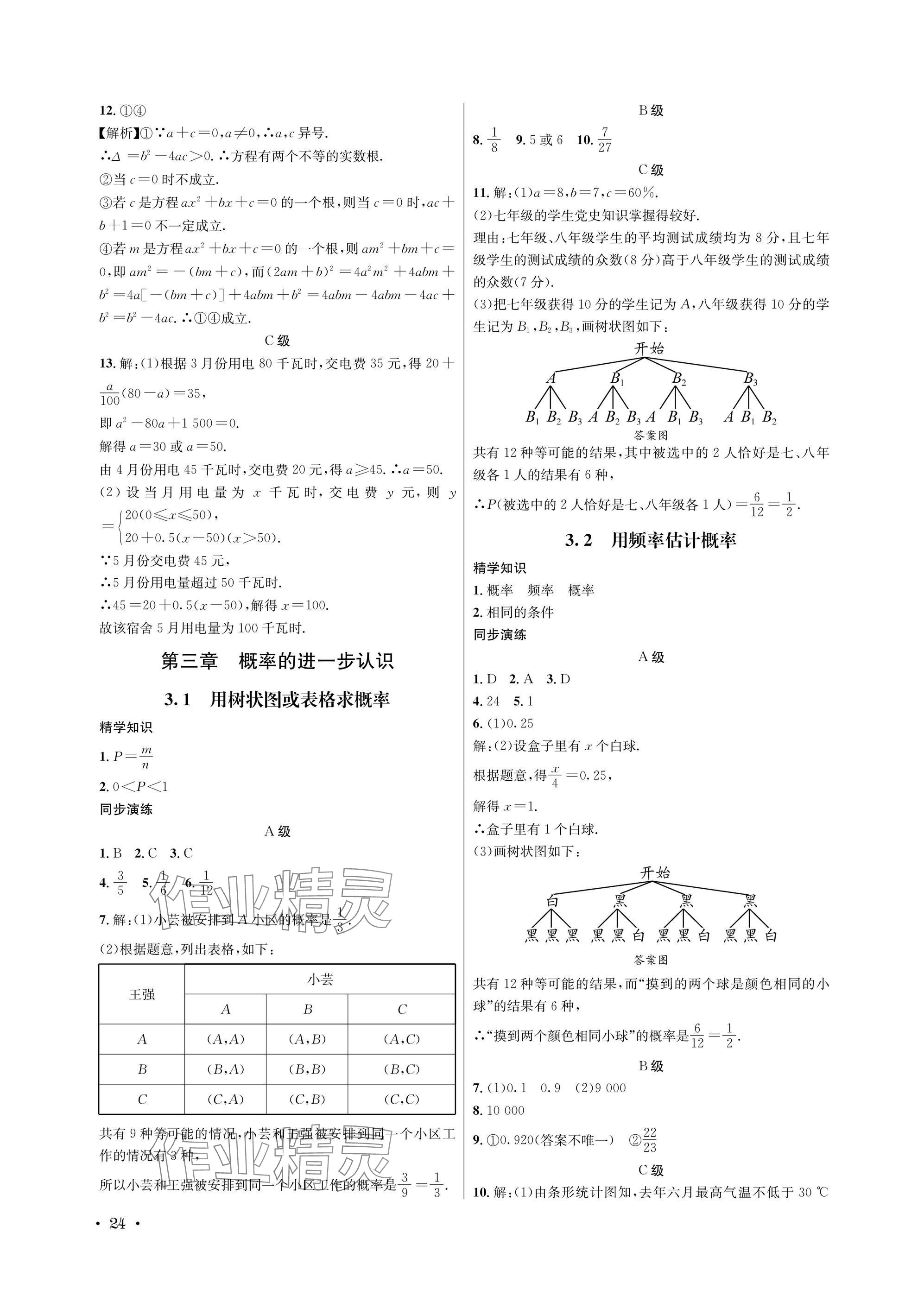 2025年蓉城学霸九年级数学全一册北师大版 参考答案第24页