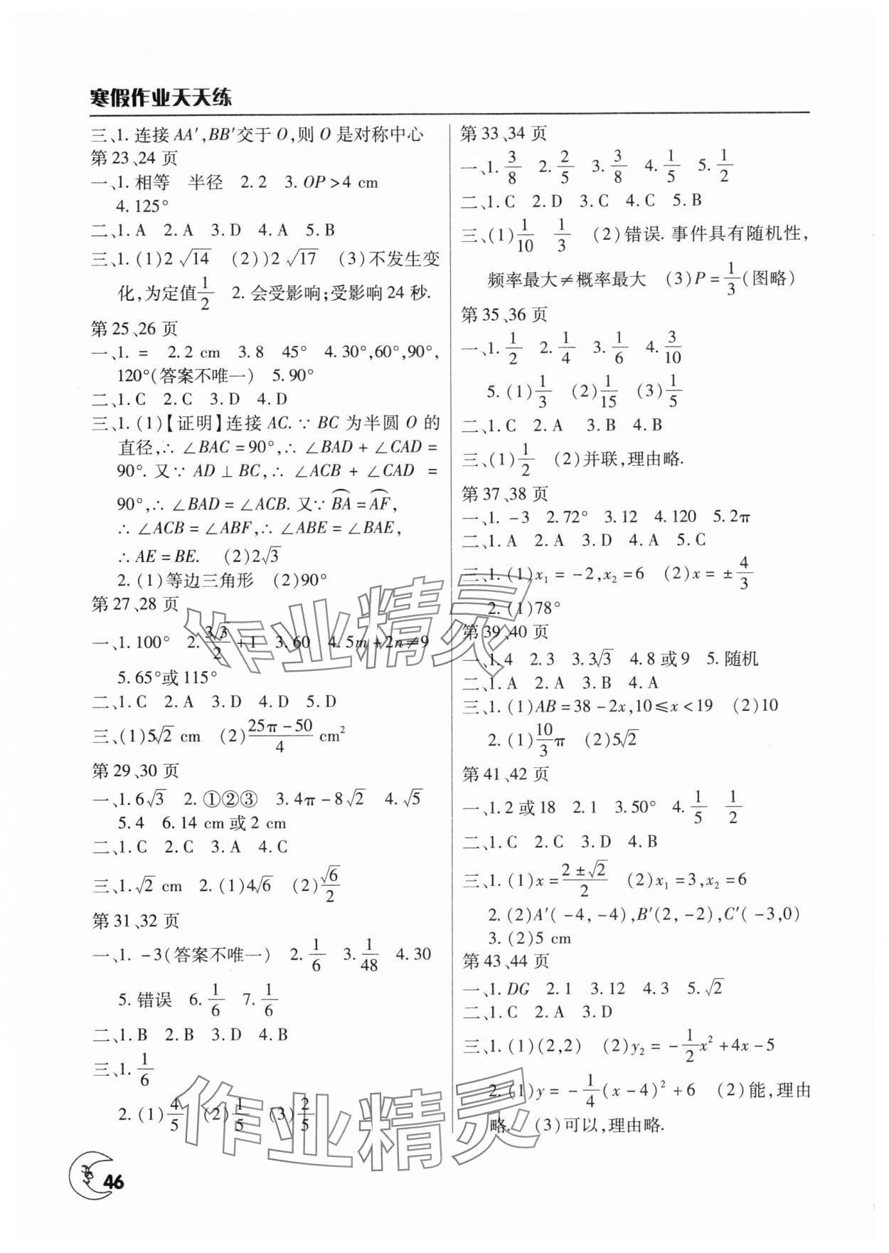 2025年寒假作业天天练九年级数学人教版文心出版社 第2页