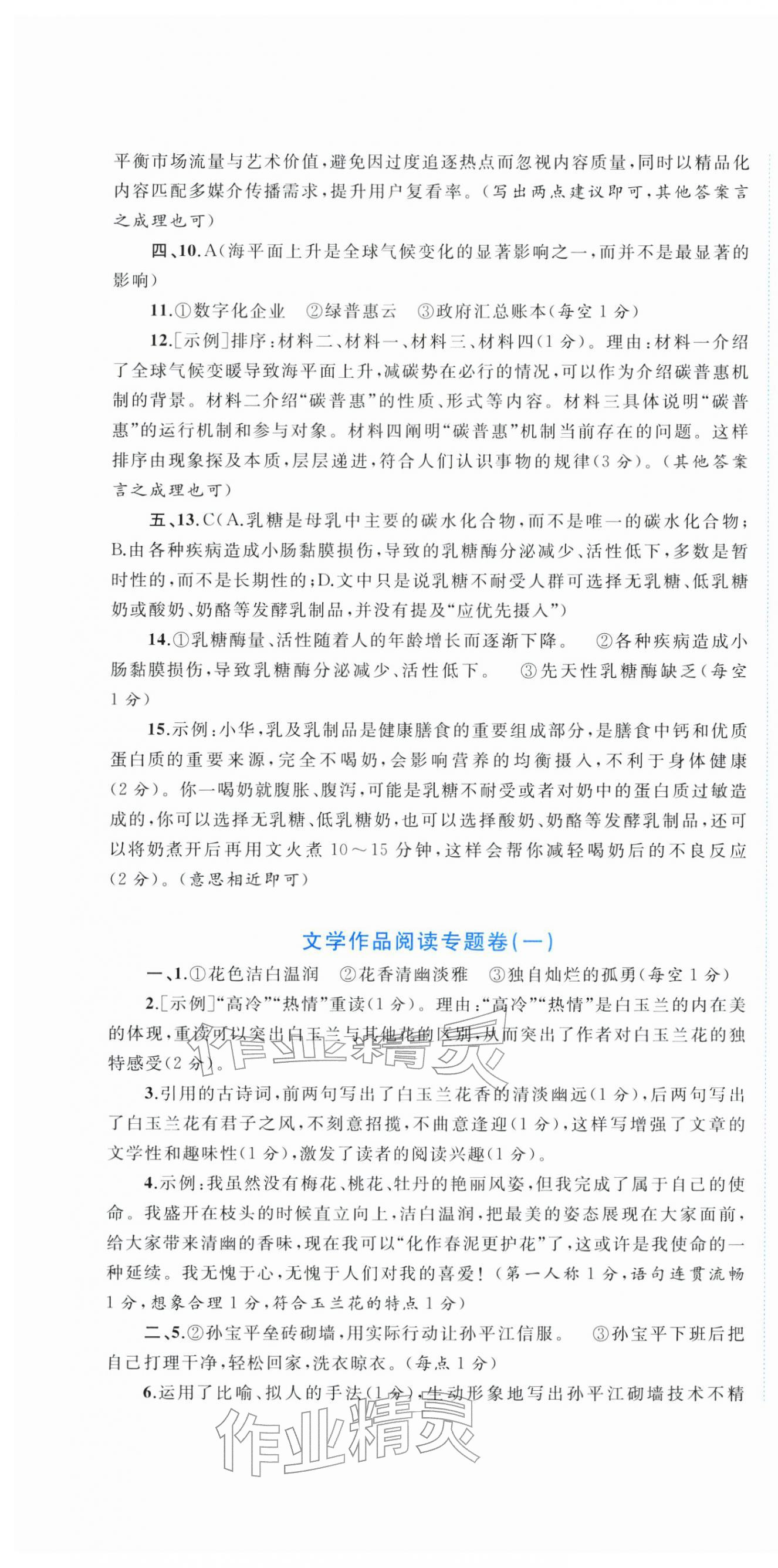 2026年中考先锋中考总复习配套测试卷语文&nbsp;第7页