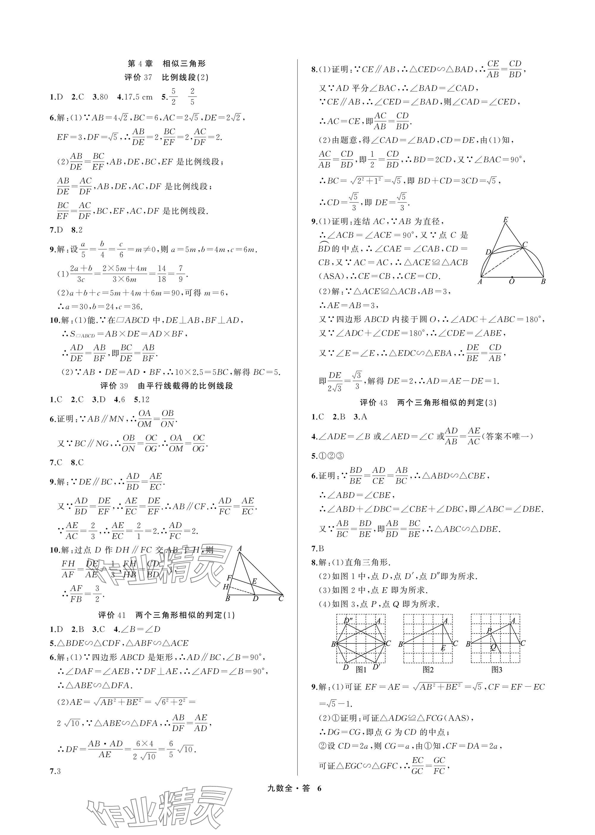 2025年名师面对面学科素养评价九年级数学全一册浙教版&nbsp;参考答案第6页