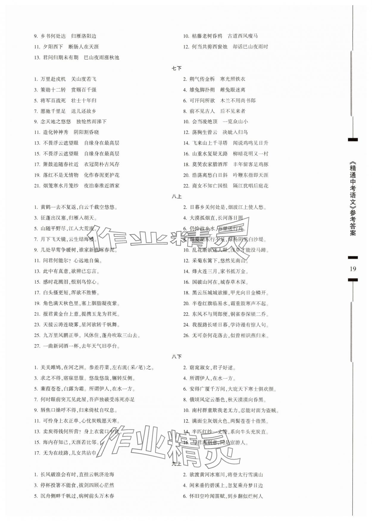 2025年精通中考語文基礎(chǔ)知識與試卷訓(xùn)練 參考答案第19頁