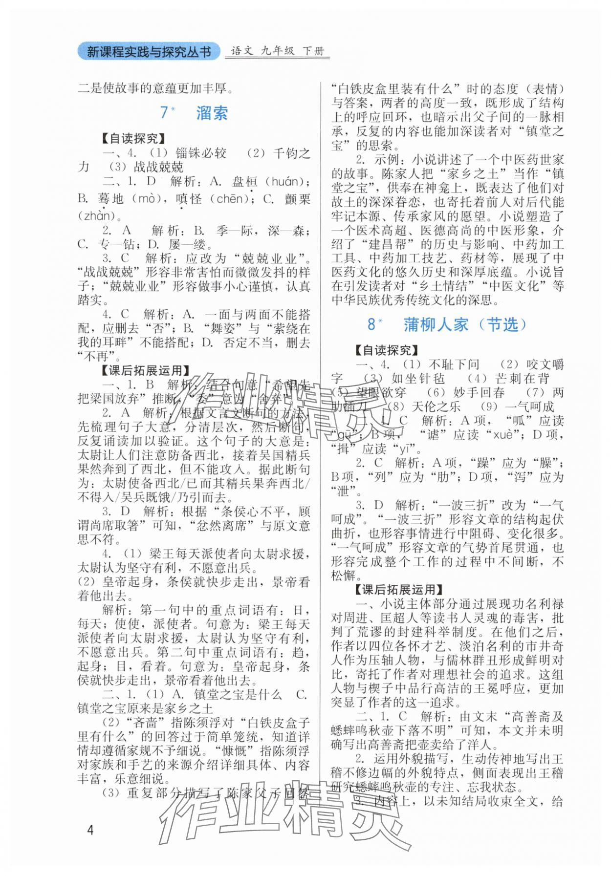 2025年新課程實(shí)踐與探究叢書九年級語文下冊人教版 第4頁