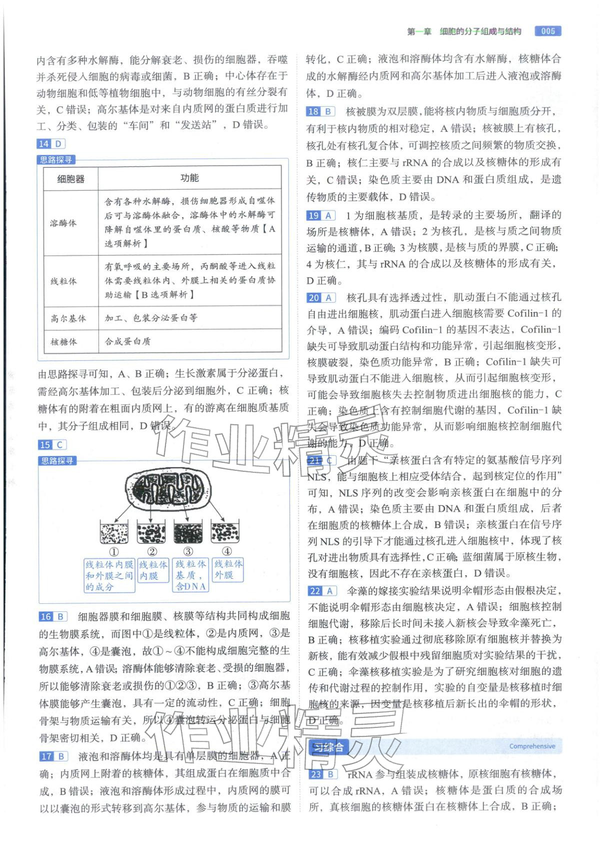 2026年高途高考基礎(chǔ)2000題高中生物&nbsp;第5頁