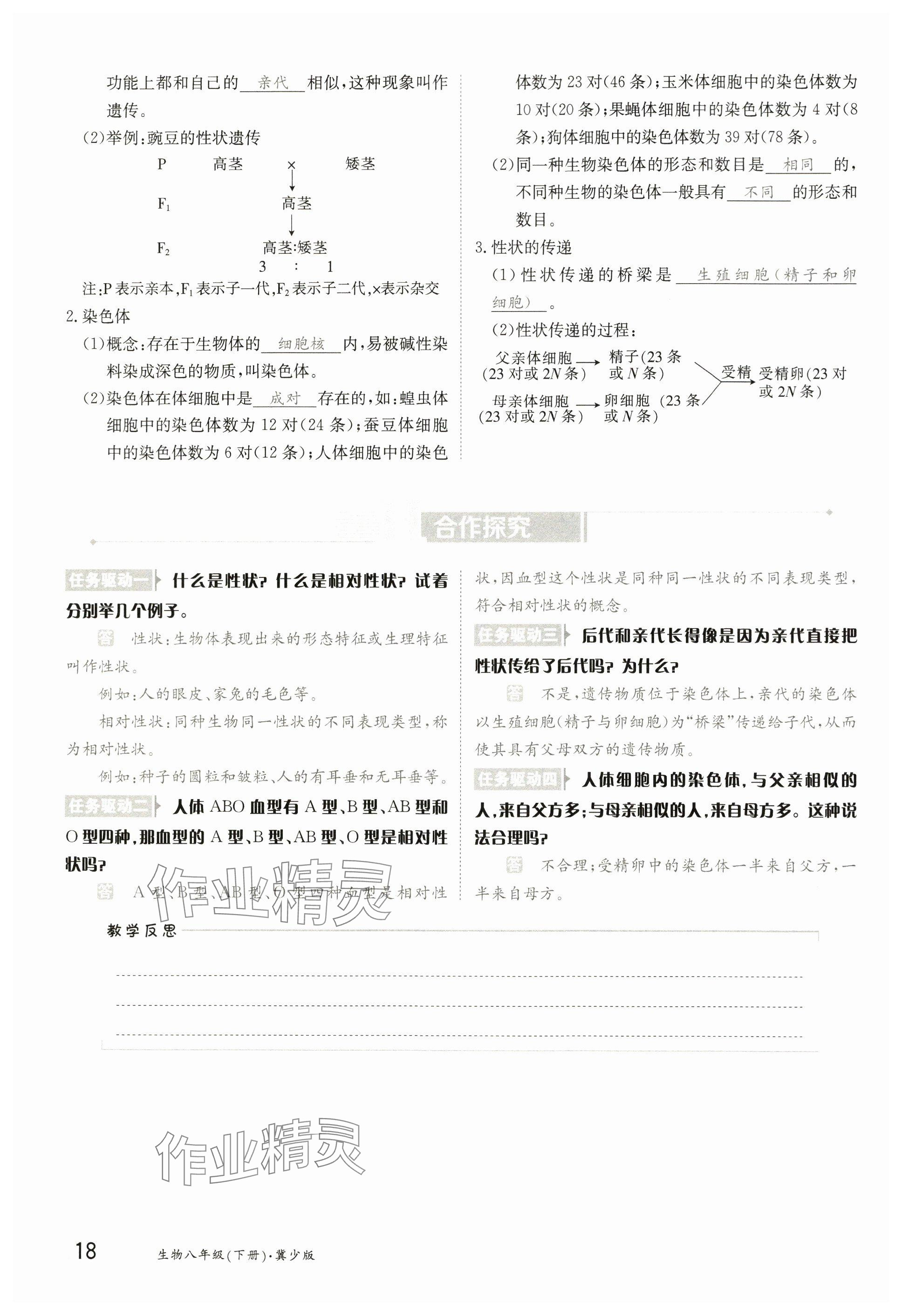 2025年金太陽導(dǎo)學(xué)案八年級生物下冊冀少版 參考答案第18頁