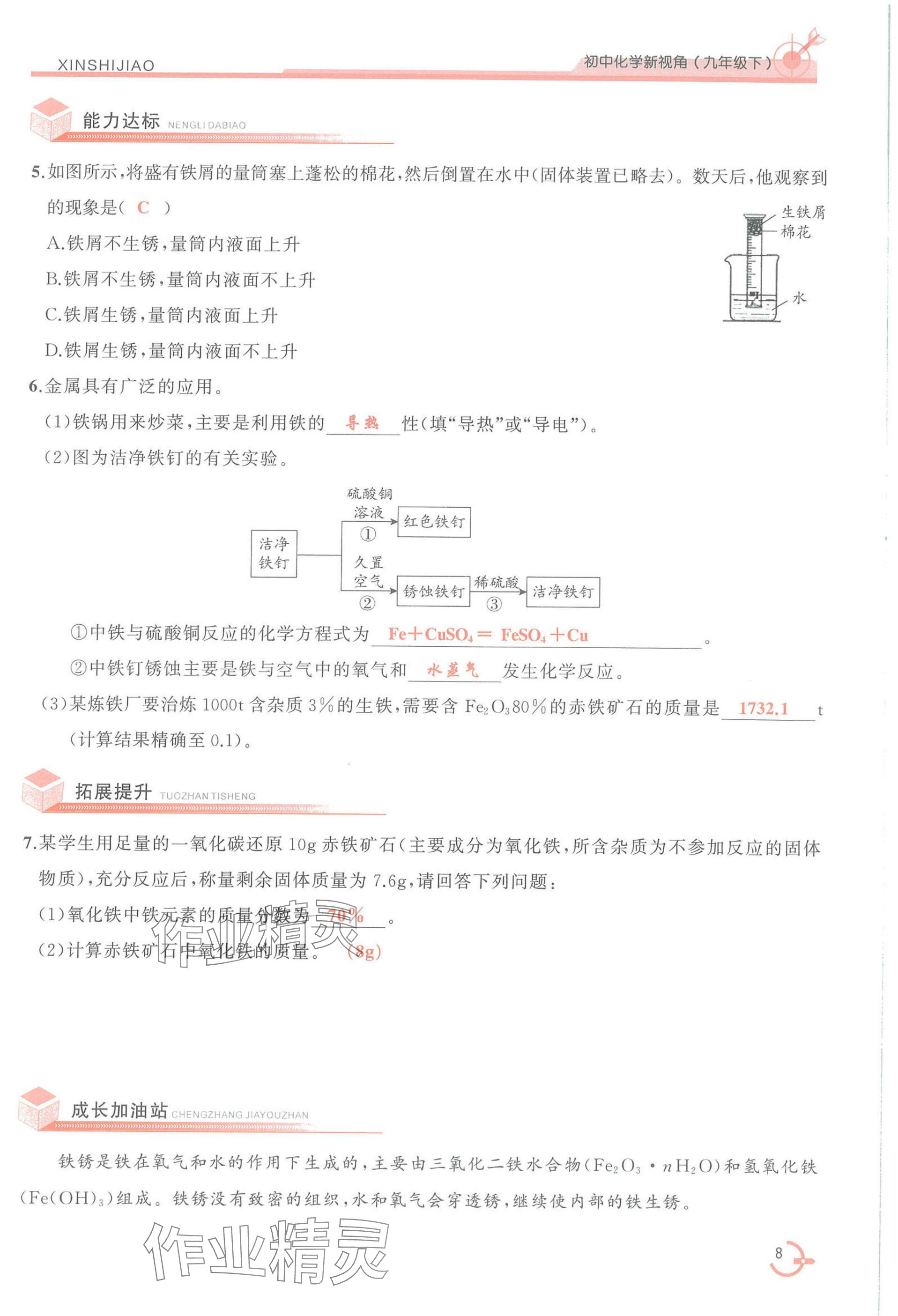 2025年新視角教輔系列叢書化學(xué)九年級下冊人教版 參考答案第8頁