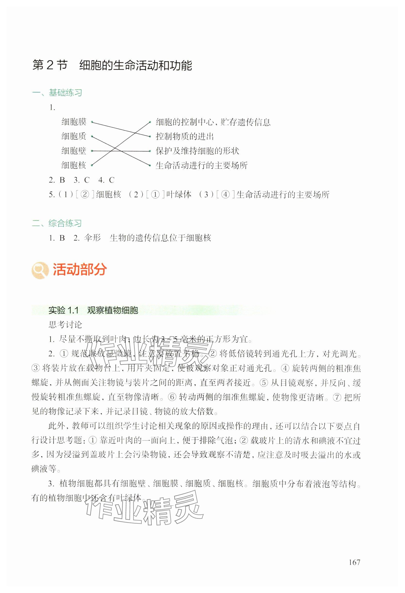 2024年综合活动手册七年级生物上册沪教版五四制 参考答案第2页