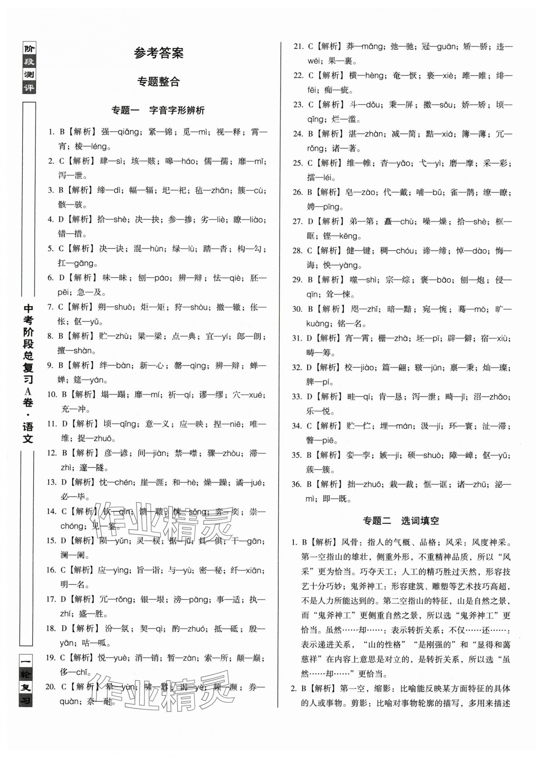 2025年中考階段總復(fù)習(xí)語(yǔ)文A卷 第1頁(yè)