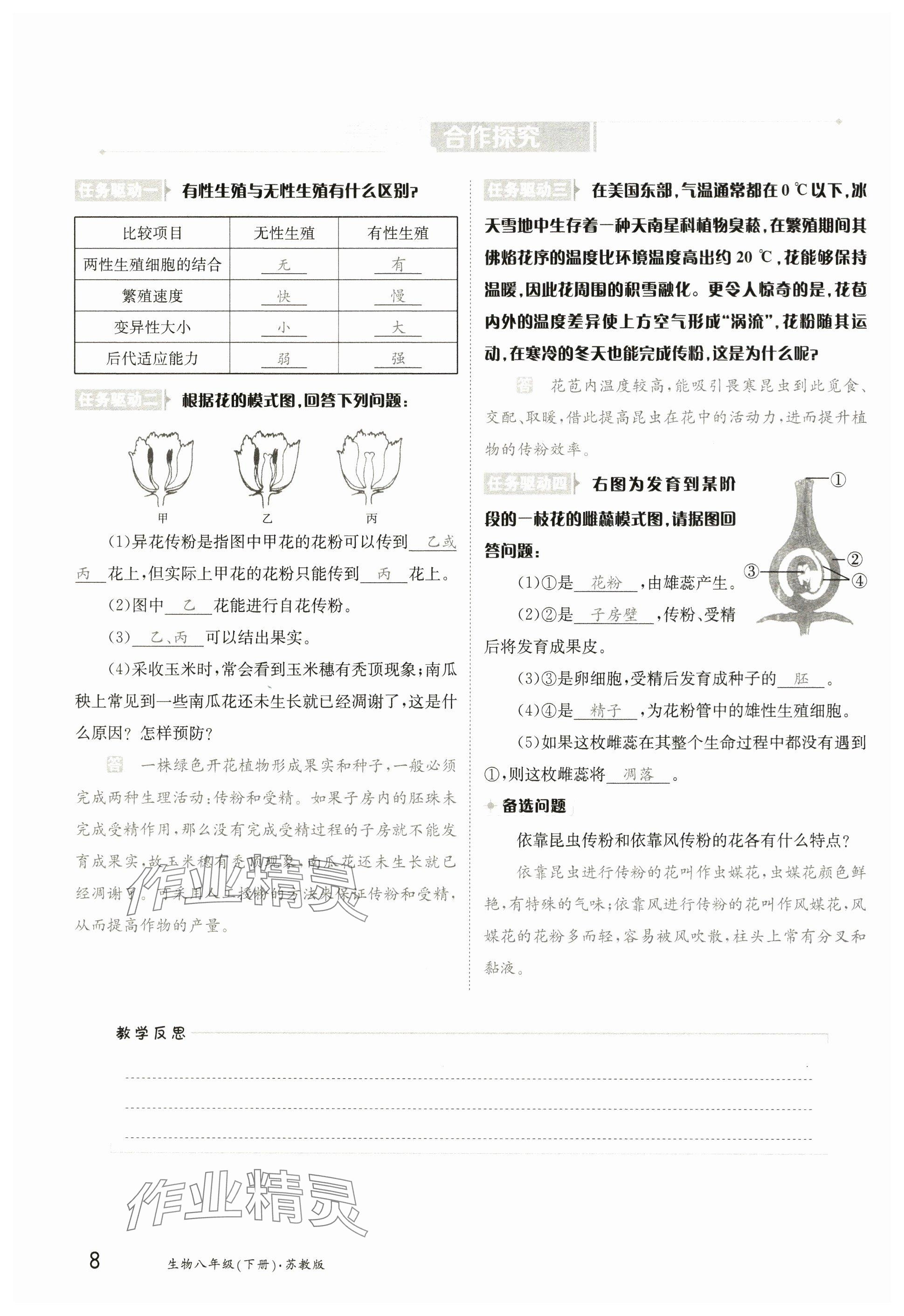 2025年金太陽導學案八年級生物下冊蘇教版 參考答案第7頁